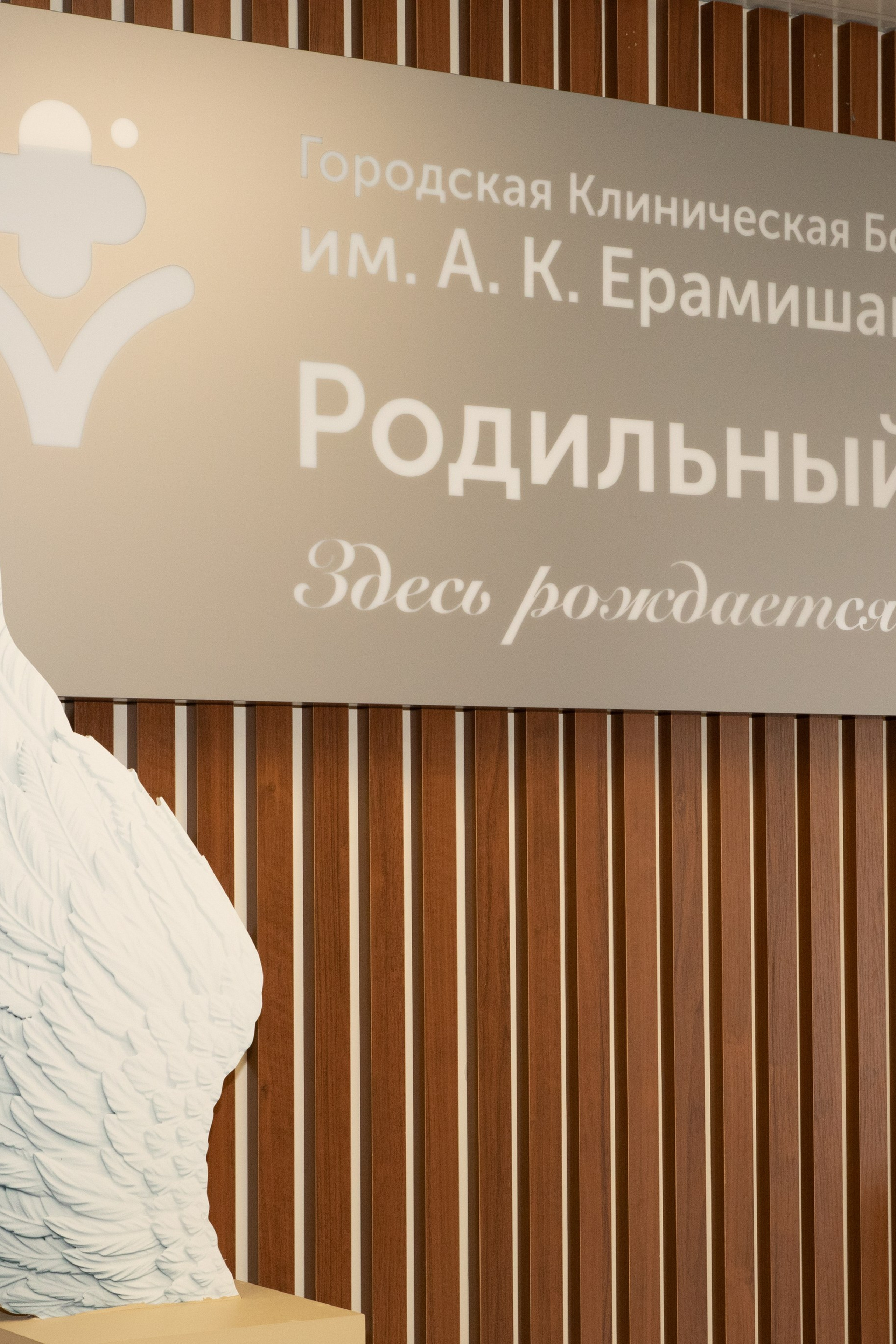 Выписка из роддома ГКБ им. Ерамишанцева