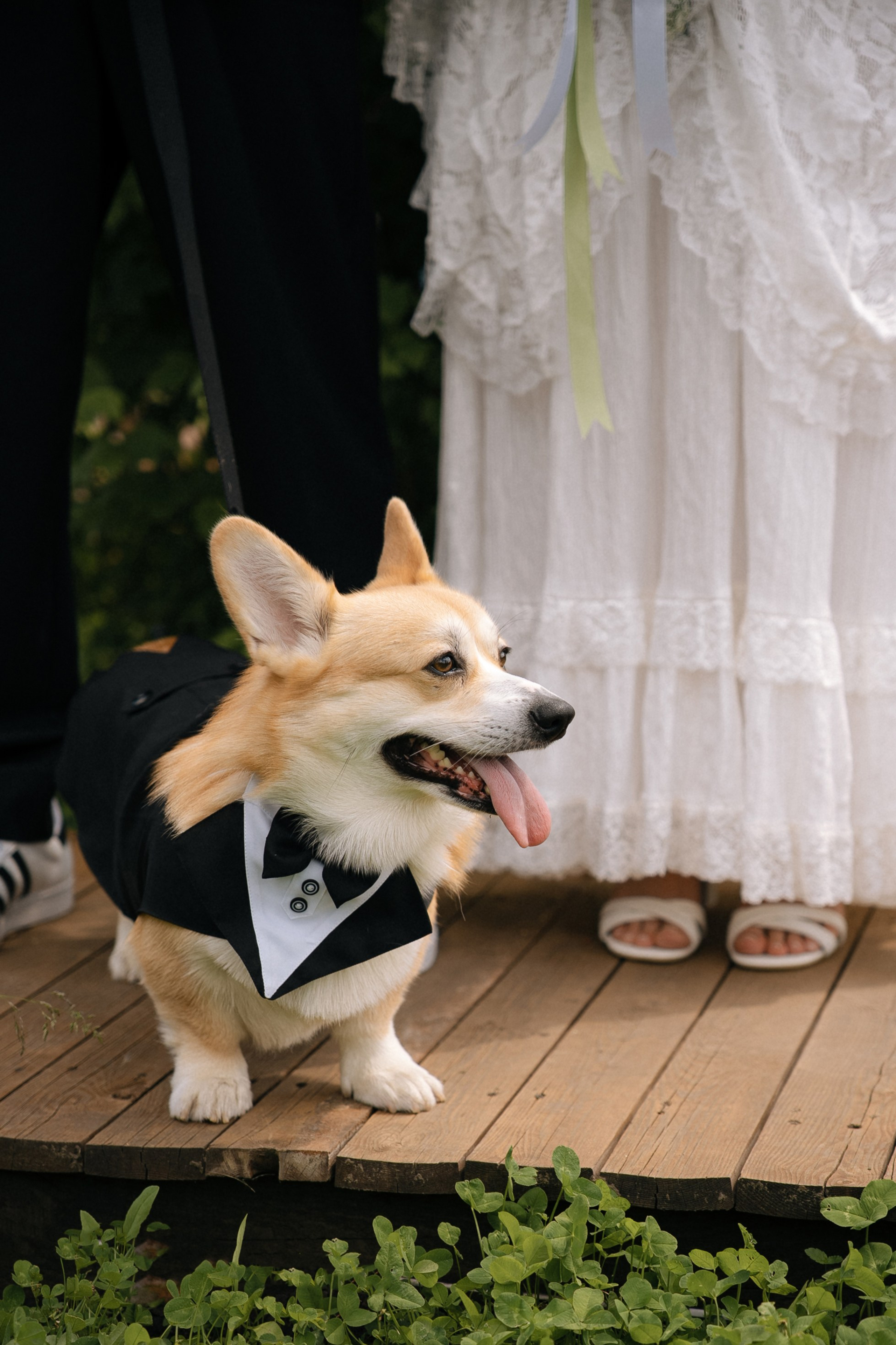 Оля+Роман. Анонс. Семейный и портретный фотограф в Саратове Сахарова Маша
