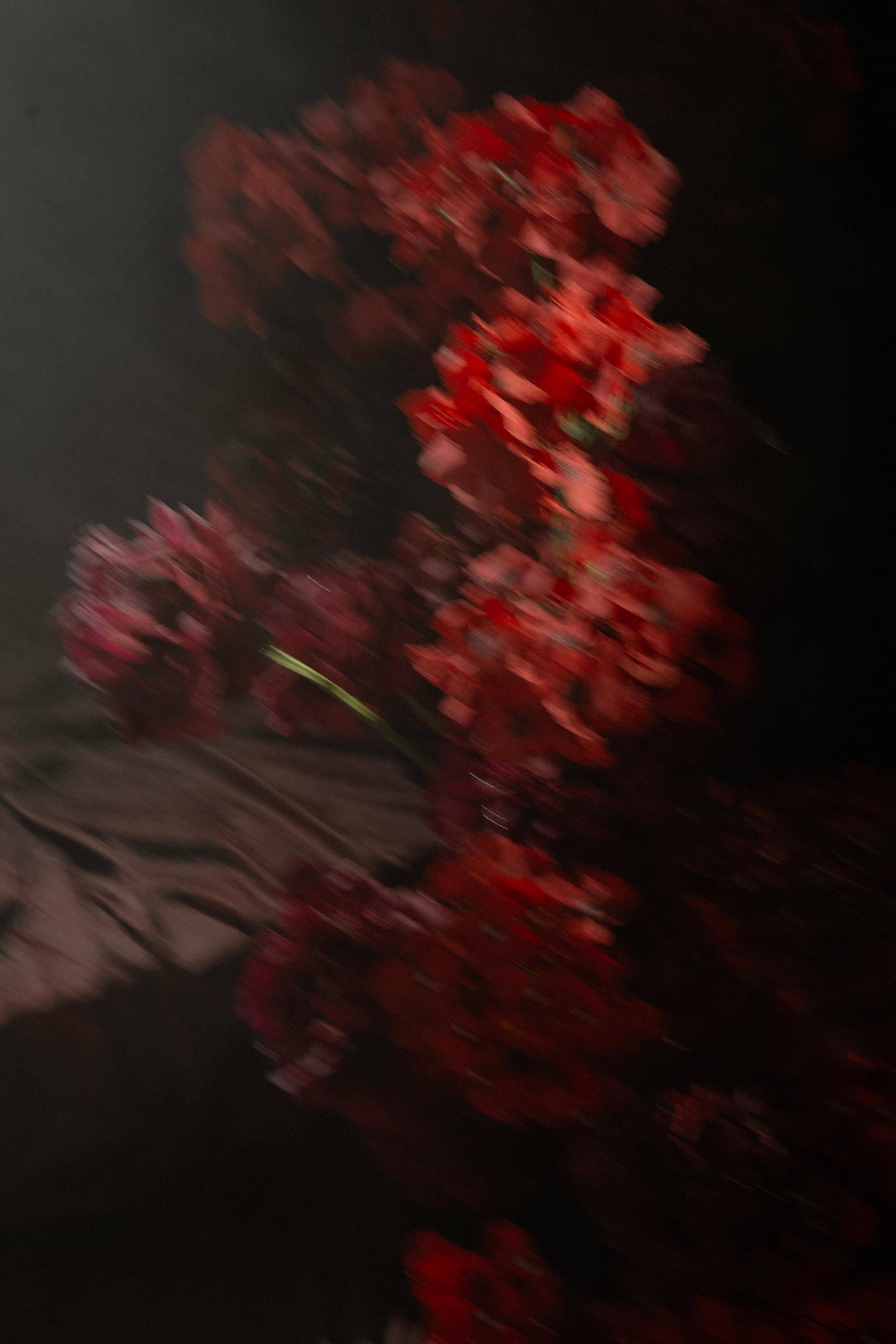 Оля+Роман. Анонс. Семейный и портретный фотограф в Саратове Сахарова Маша