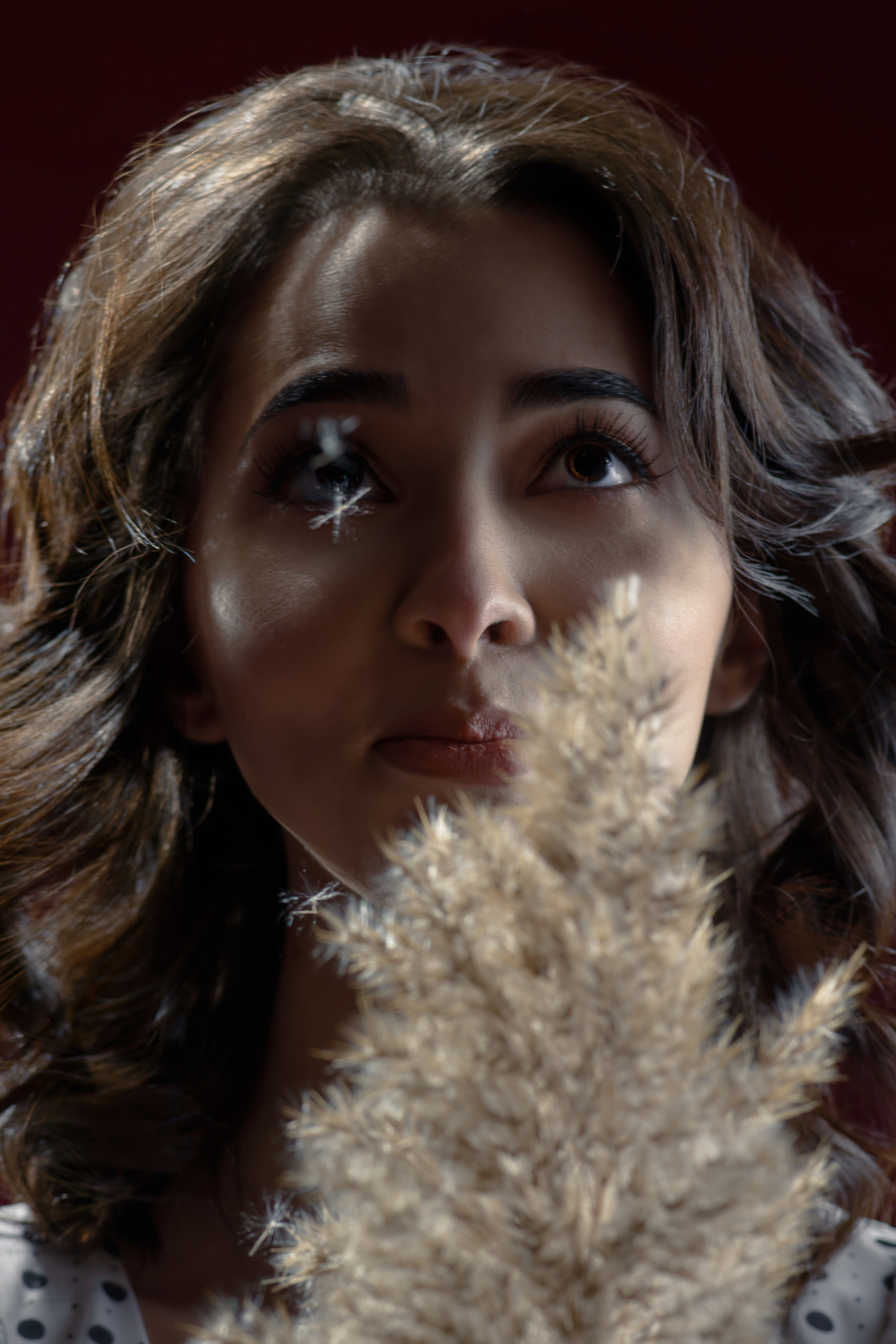 Студия. Фотограф Сергей Салманов Studiophotosharm