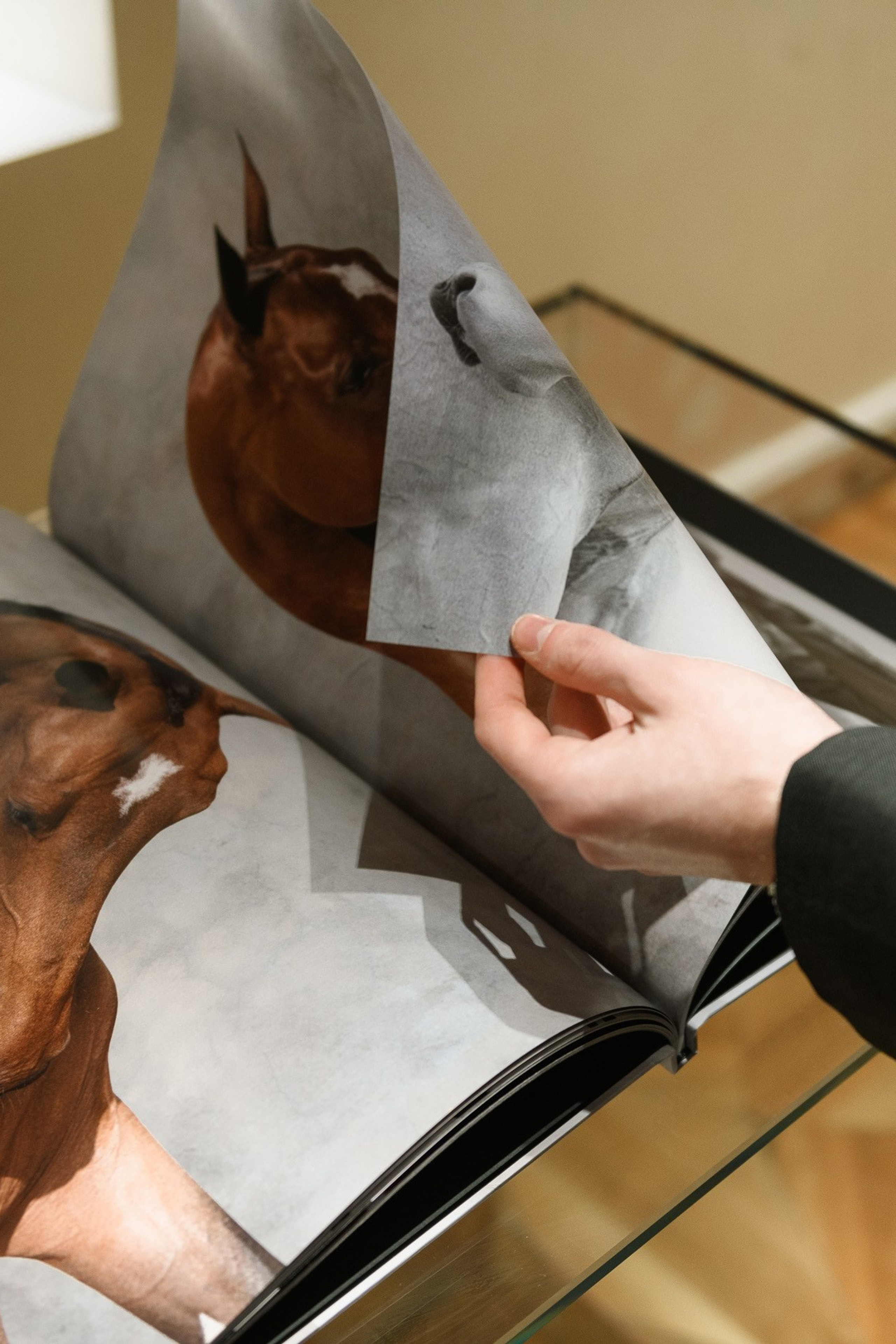 Фотограф на корпоратив