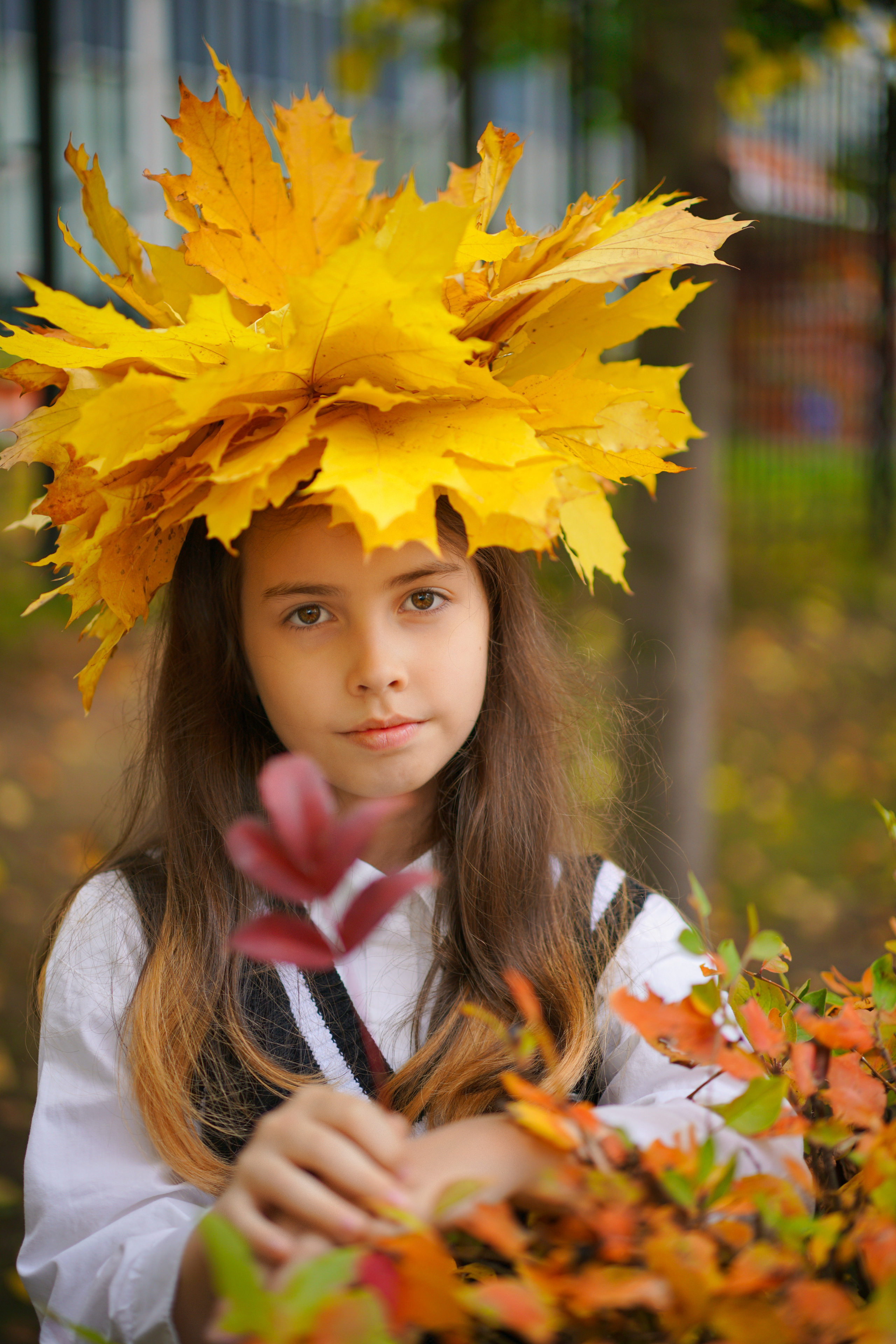 Истории. Анна Белашова ВЫПУСКНЫЕ АЛЬБОМЫ, фото и видеосъёмка
