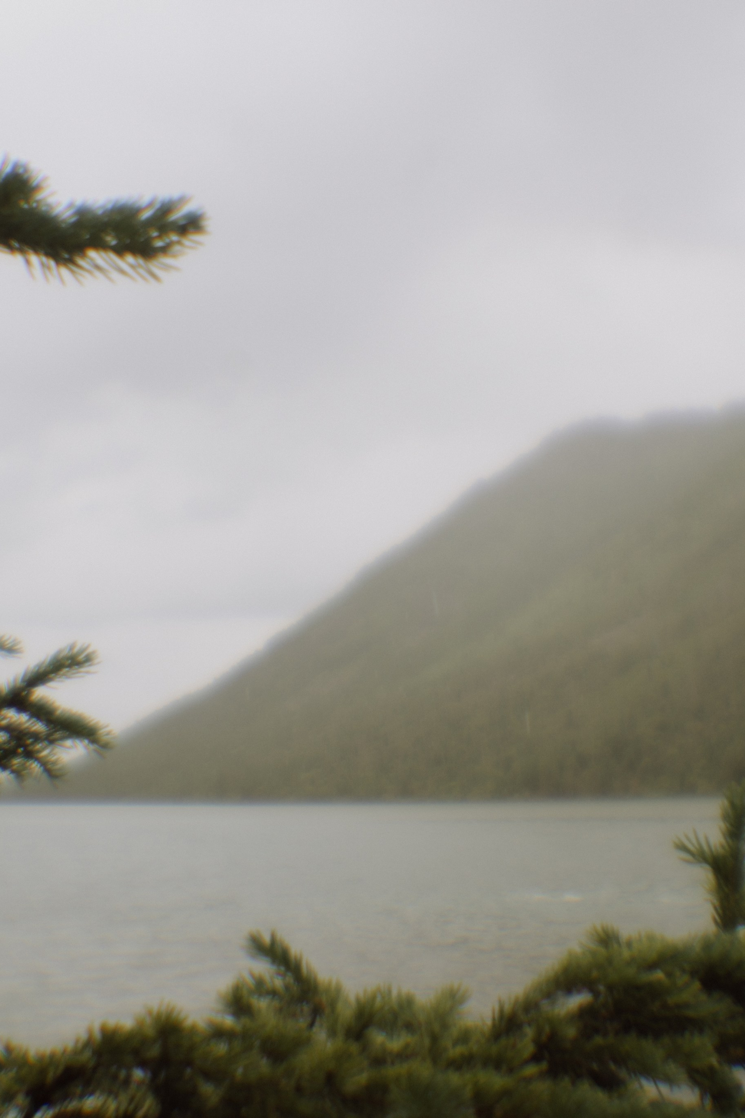 Репортажная съёмка. Лиза Фирстова