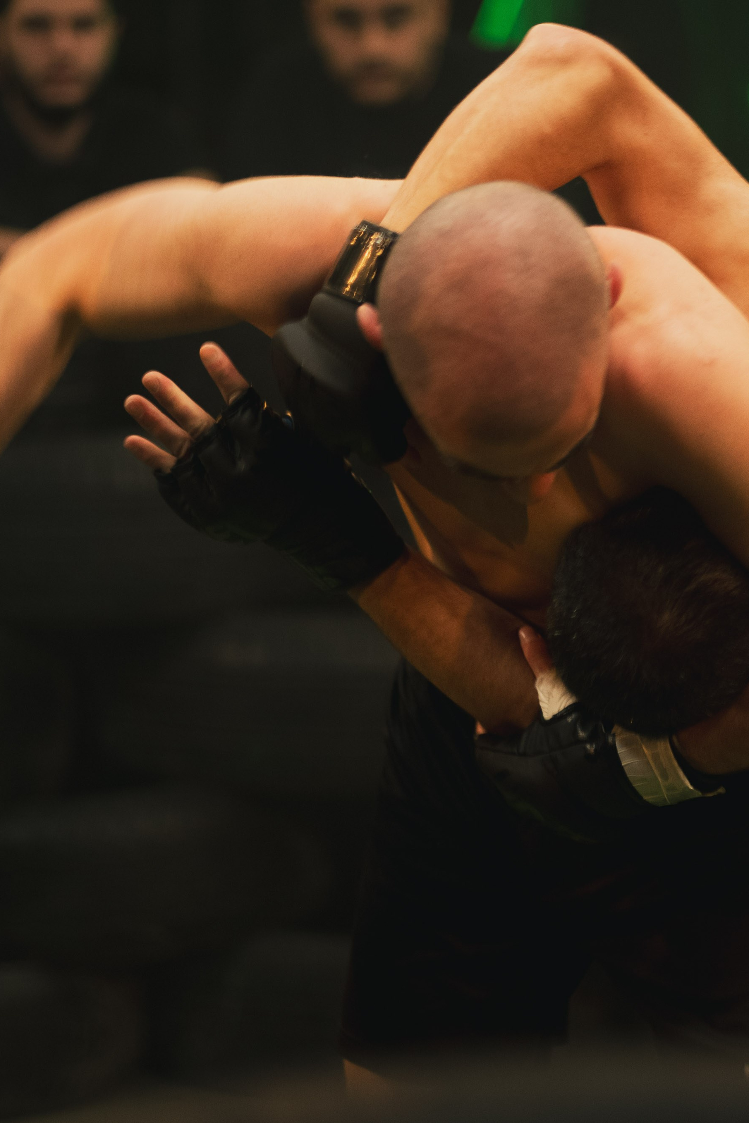 GAMA, Tbilisi, May 2024