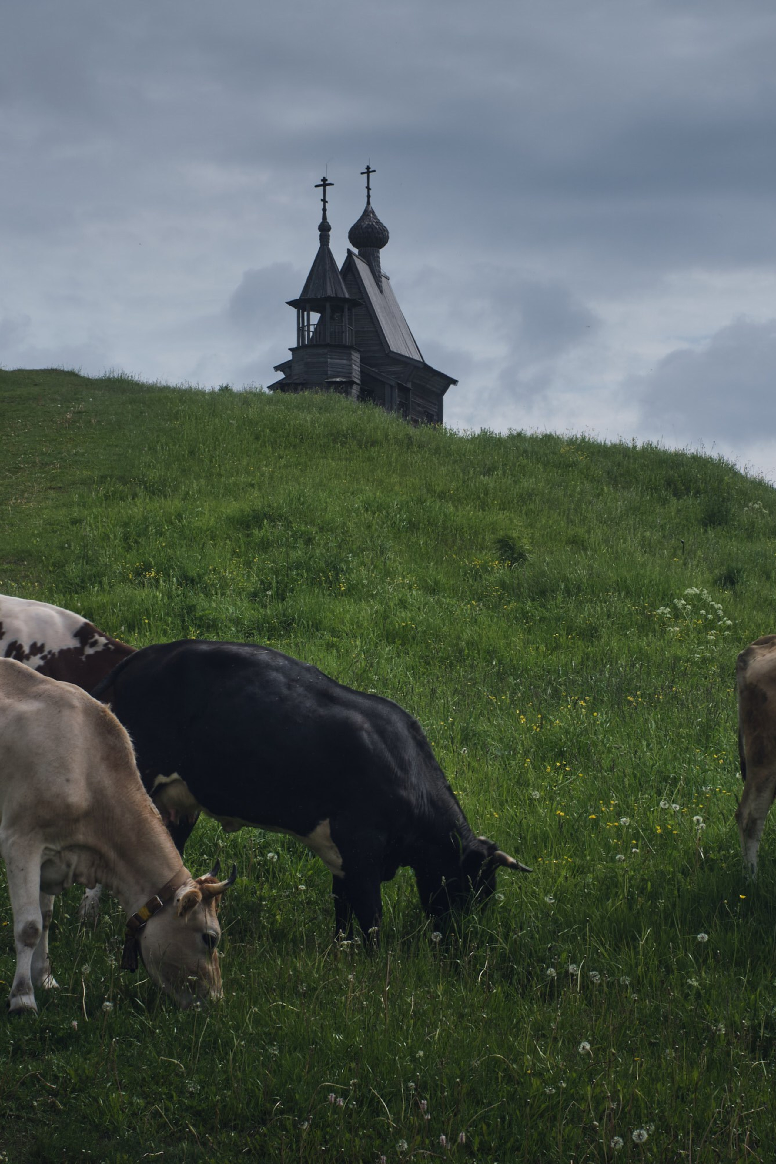 Русский север