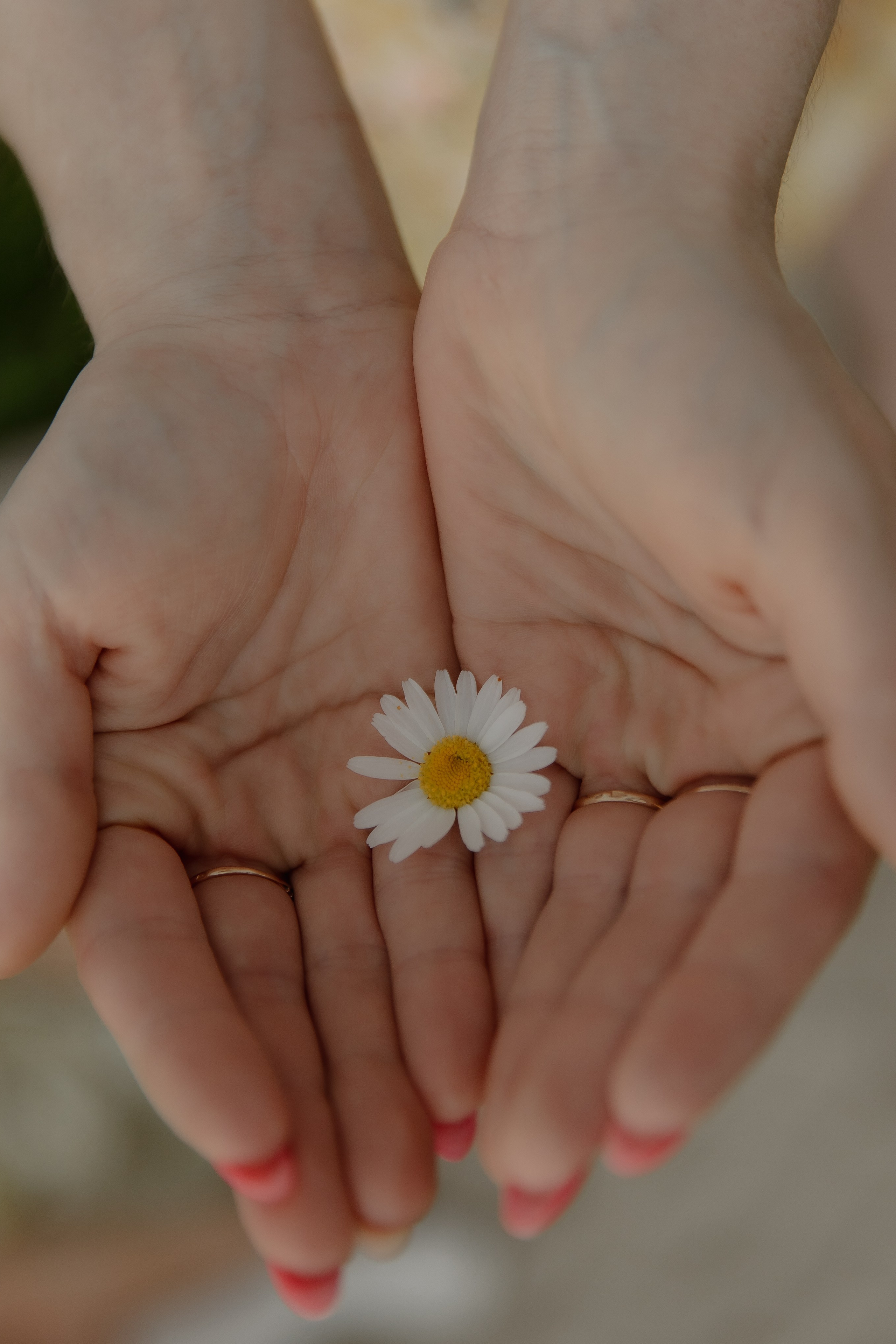 Фотосессия в ромашках Челябинск