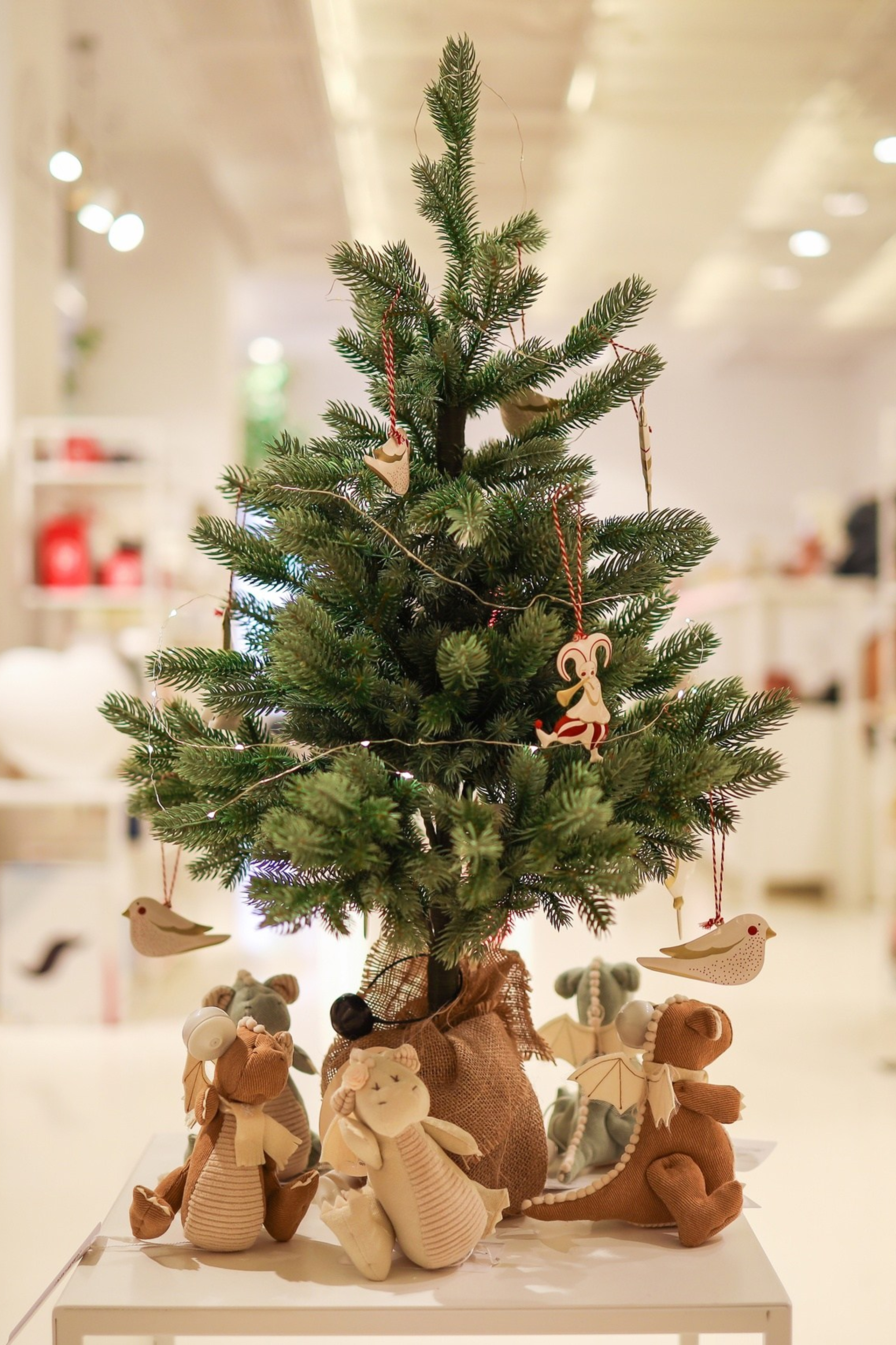 Отзывы. Профессиональный фотограф в Санкт-Петербурге Александр Волосенцев