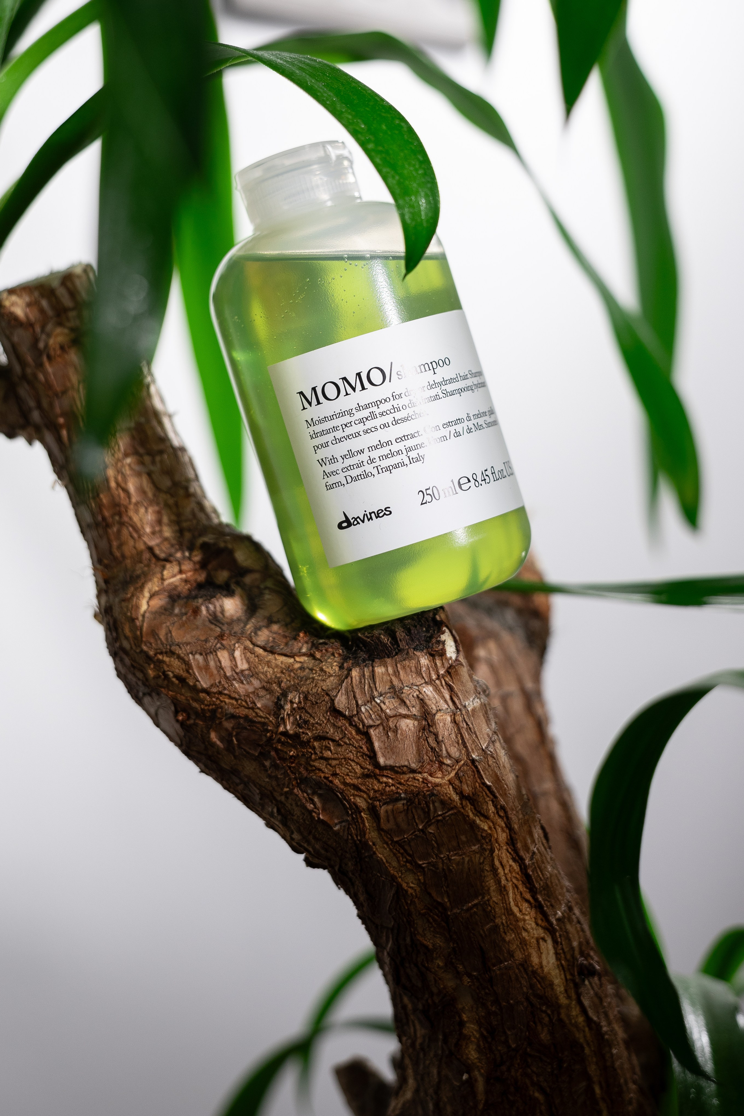 Анонсы. Профессиональный фотограф в Санкт-Петербурге Александр Волосенцев