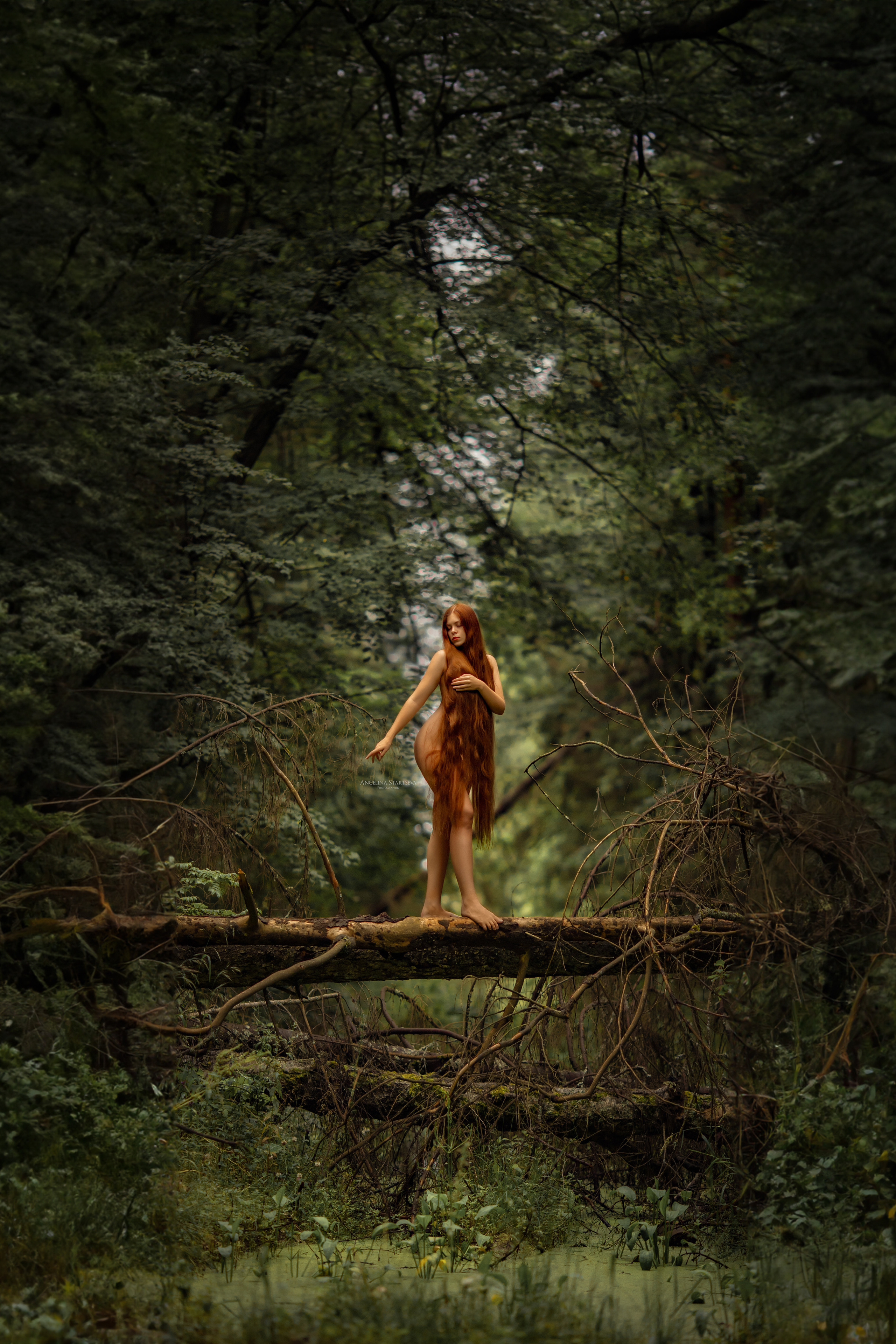 лесная ню фотосессия