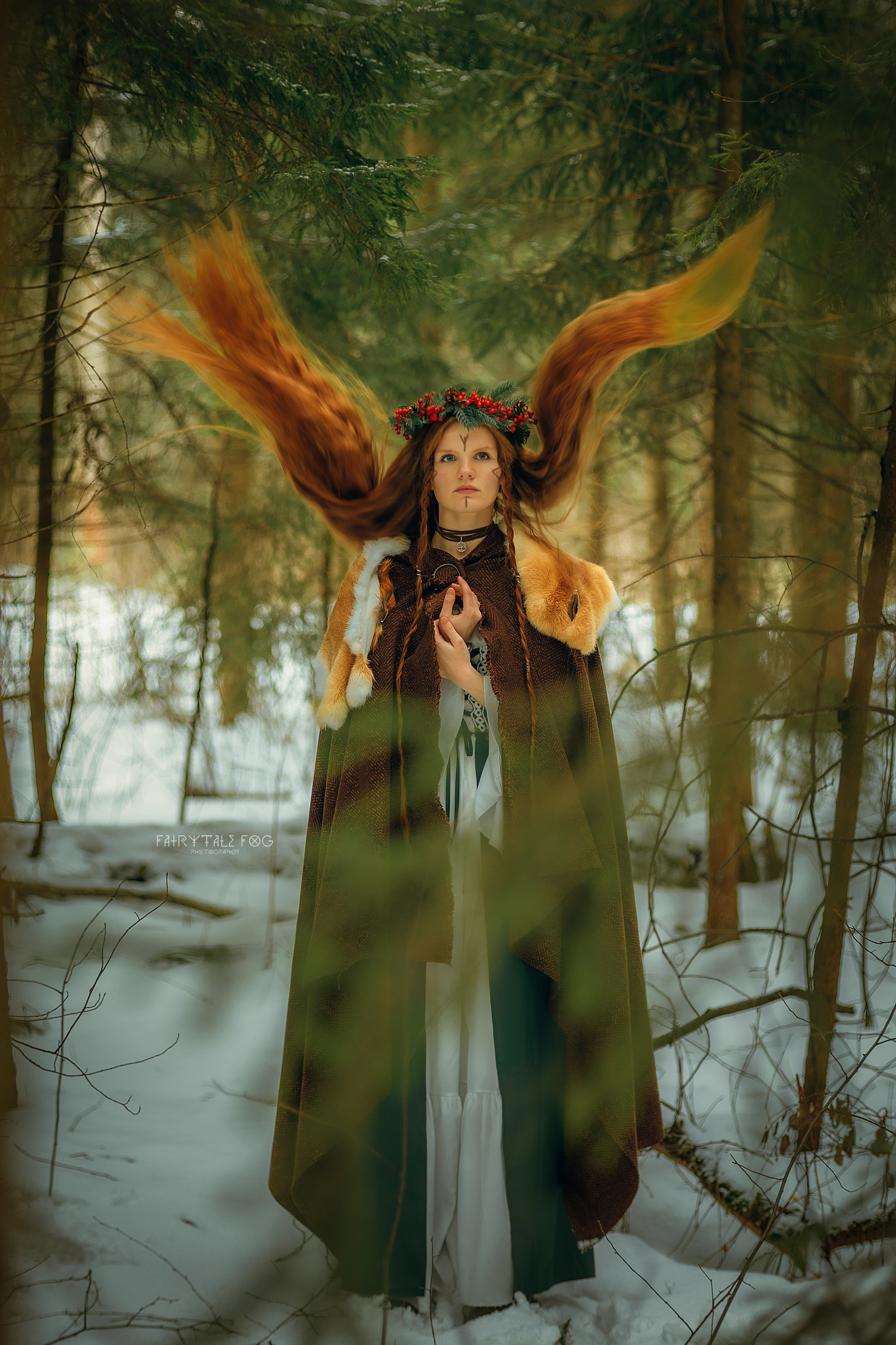 шаманка викингов вельва