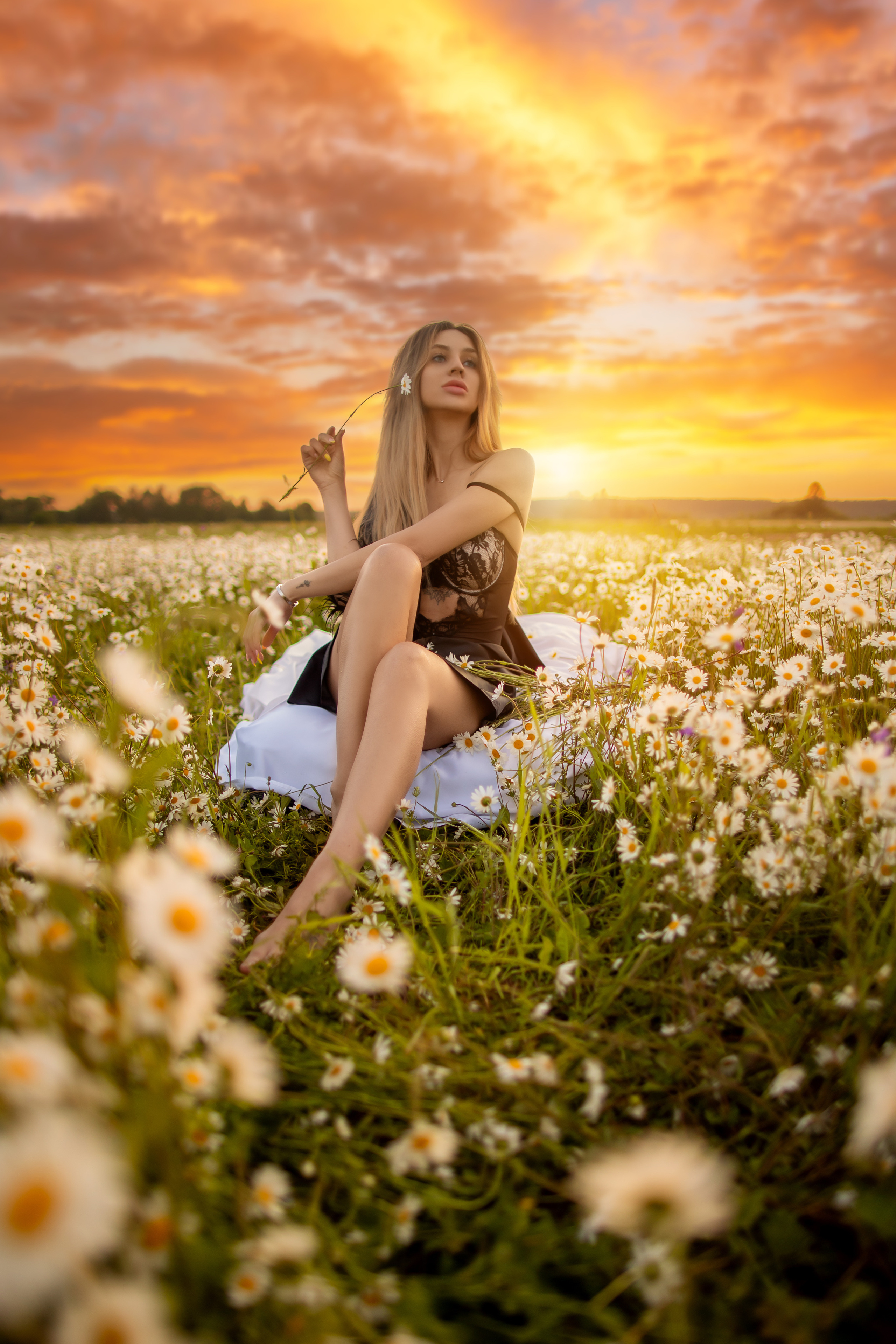 фотосессия в ромашковом поле