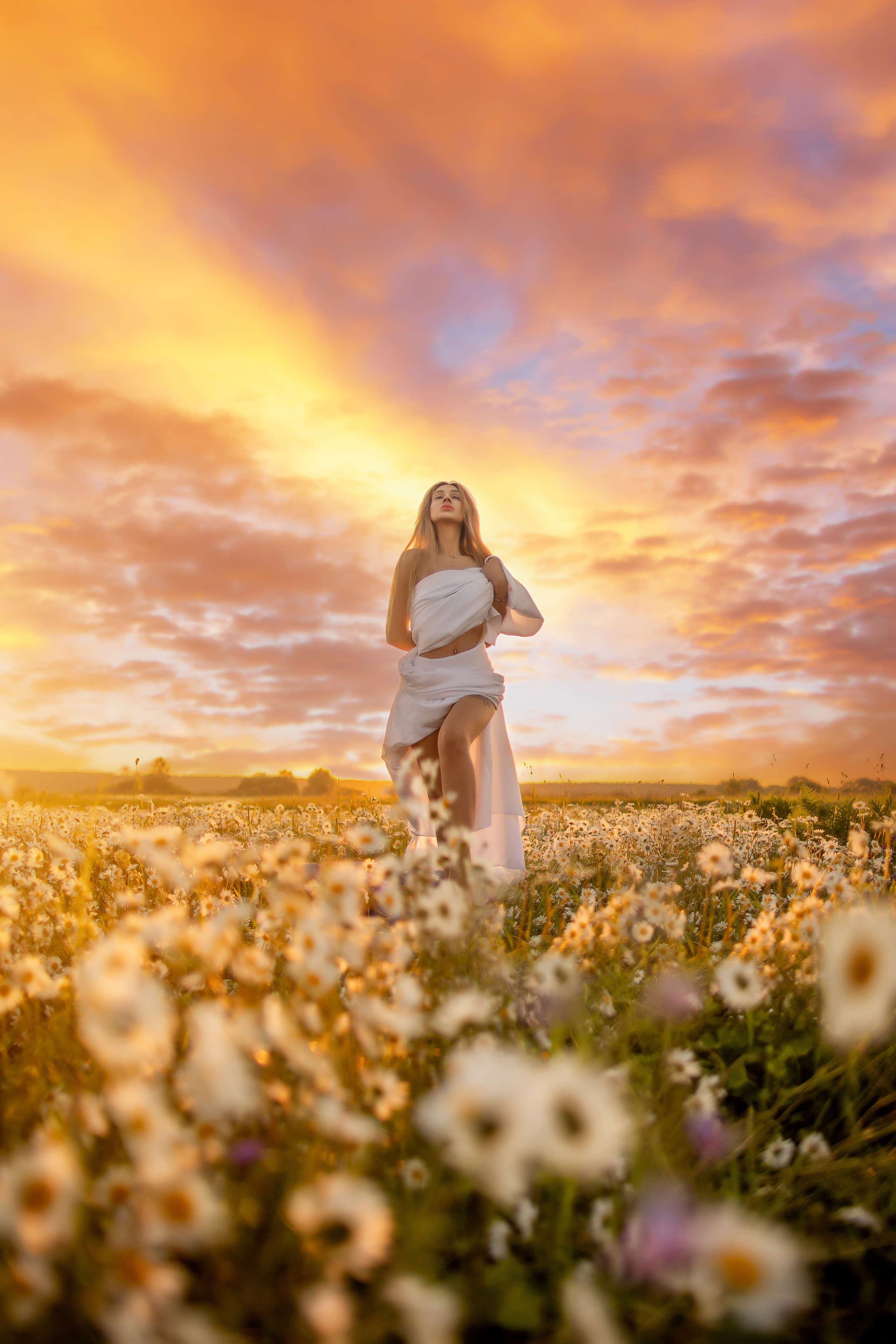 фотосессия в ромашках