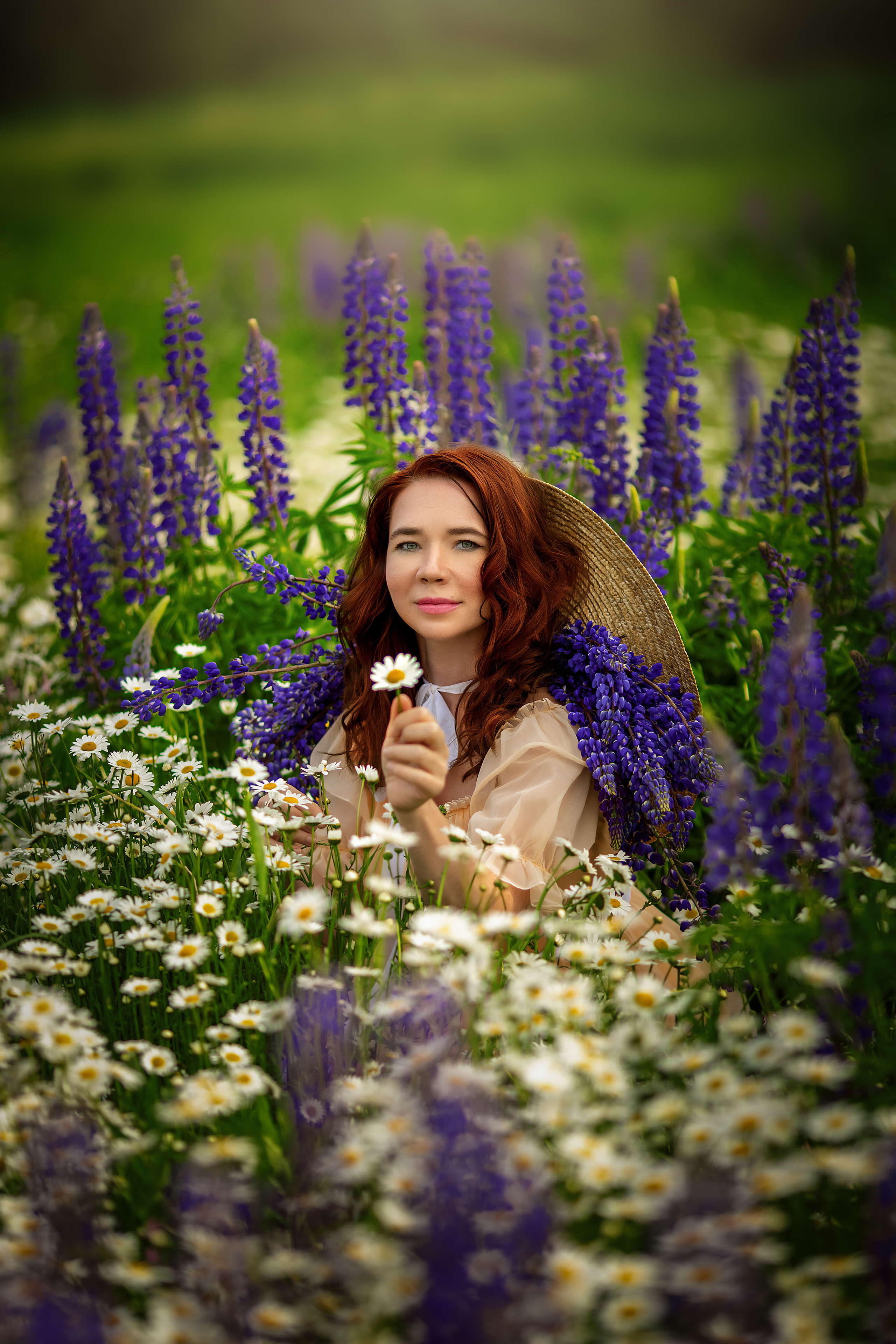 фотосессия в люпиновом поле