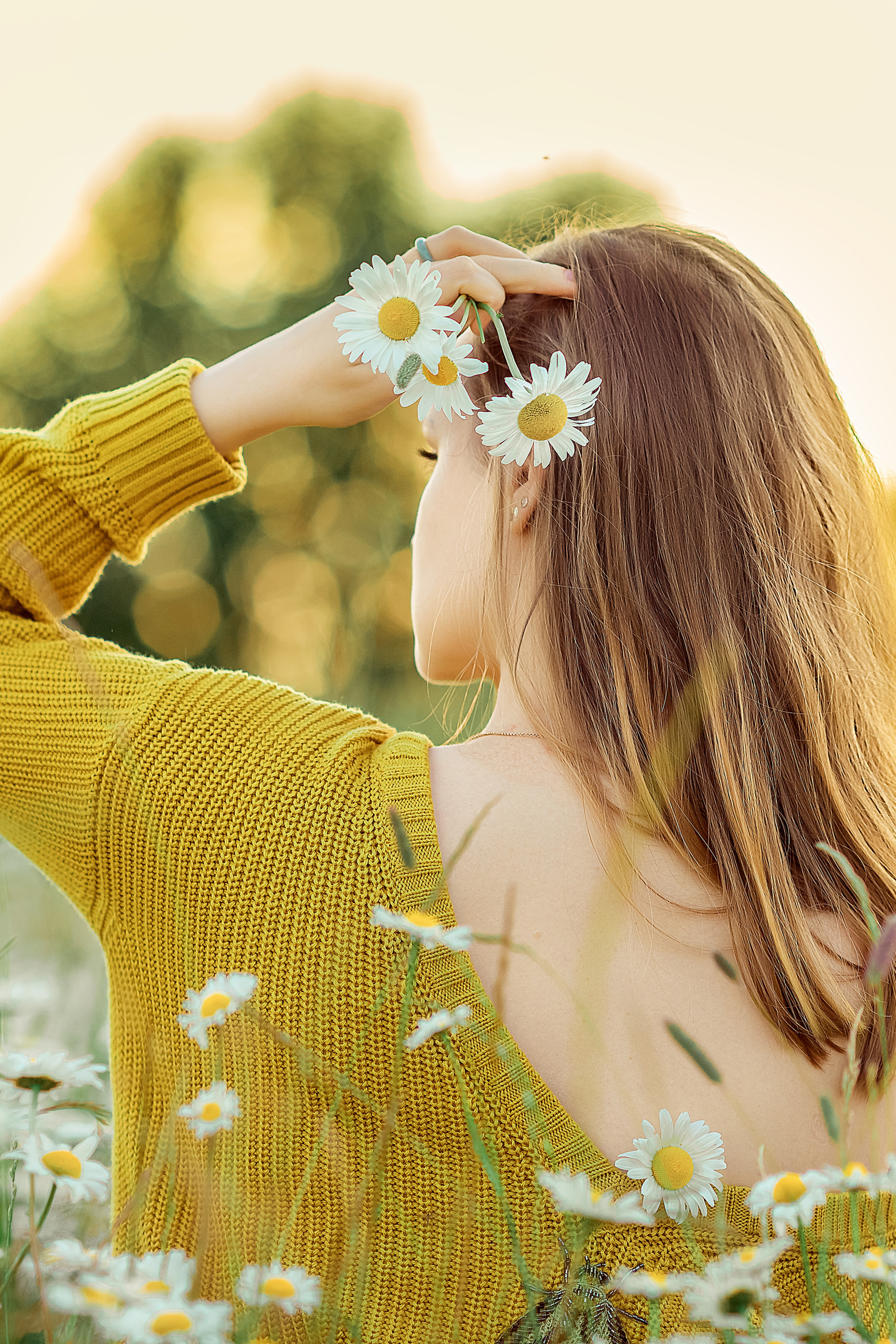 идеи для фотосессии в ромашках