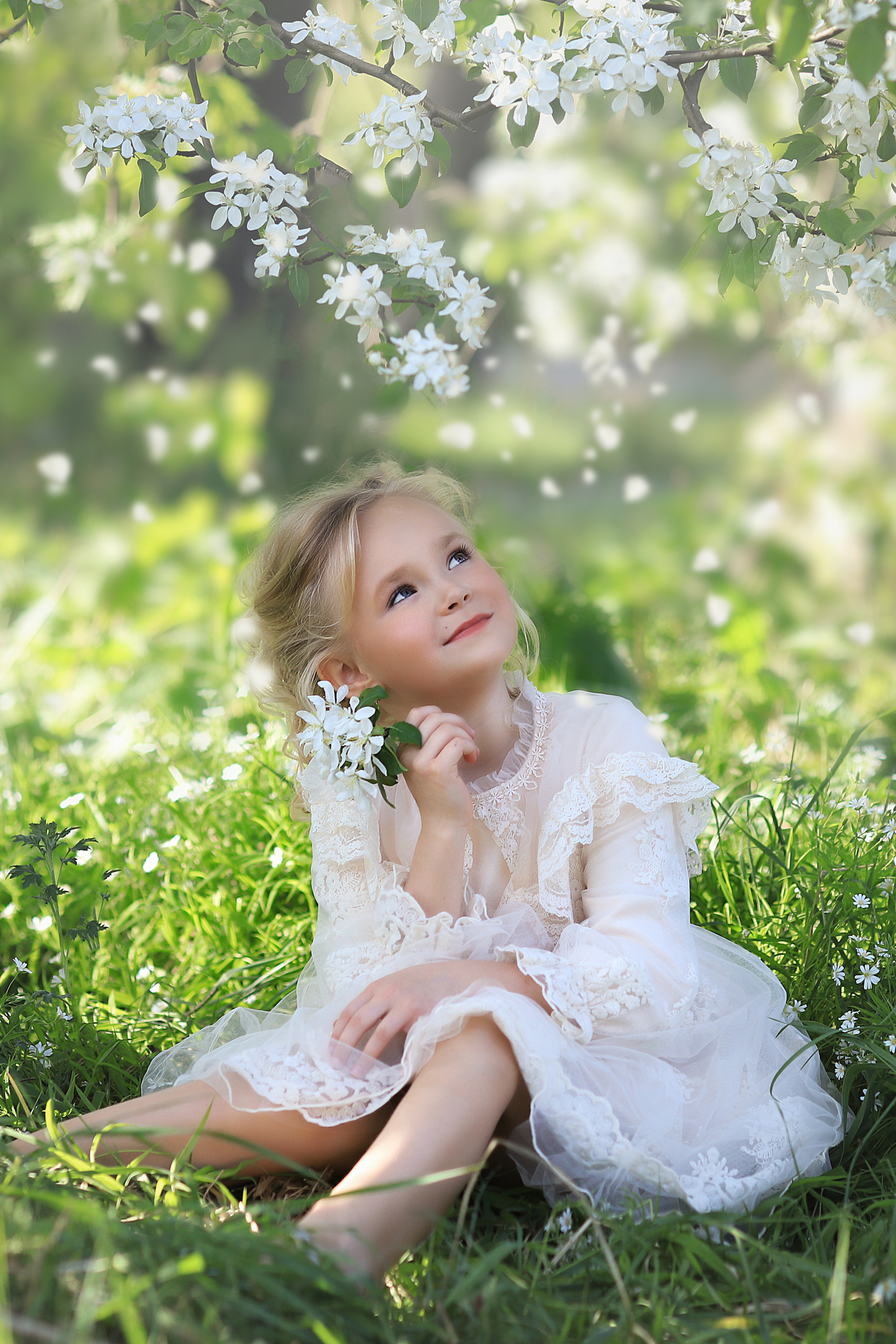 Цветение яблоневых садов