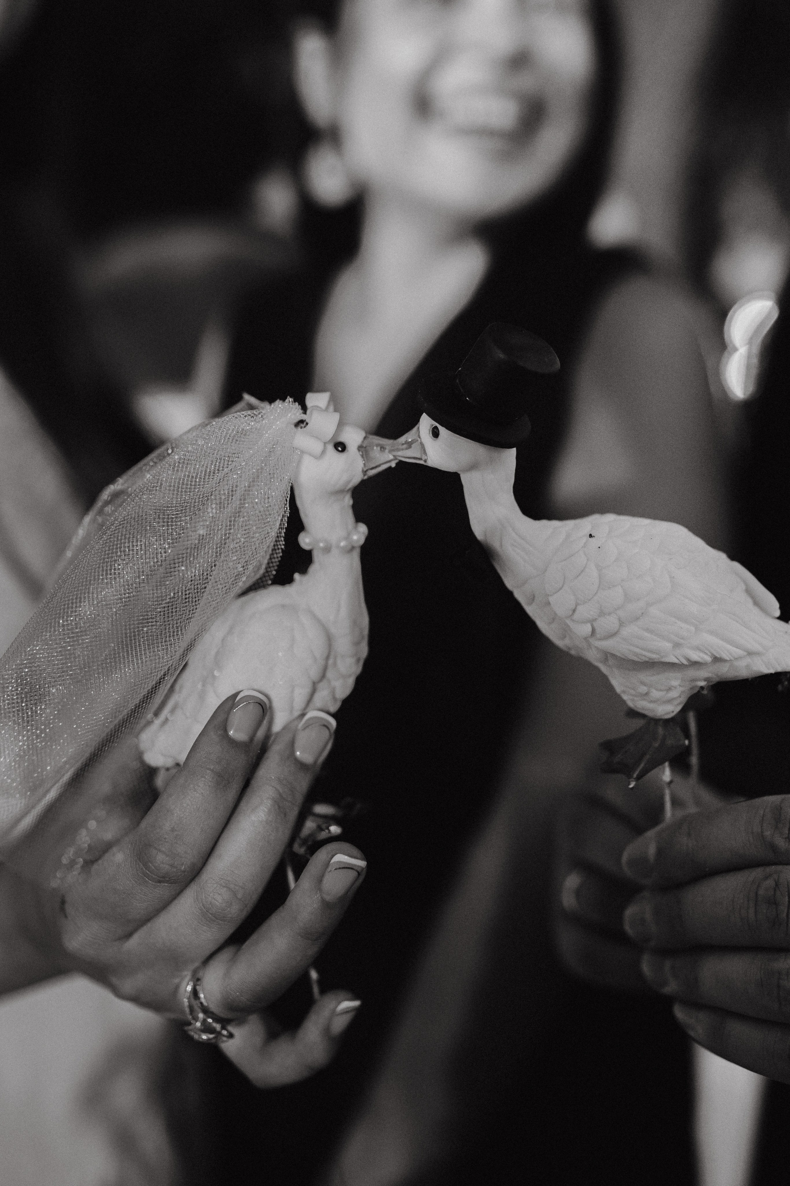 Matrimonio da favola Vlad&Mari