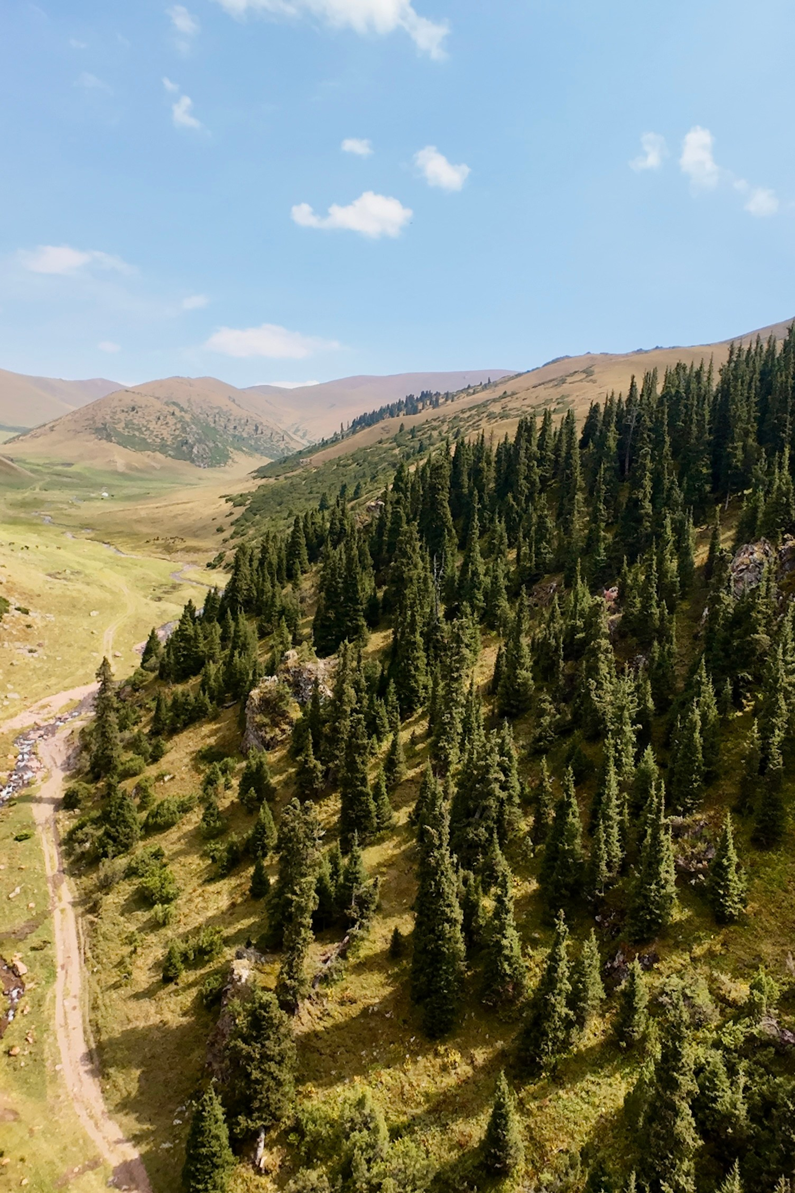 Блог. Экскурсии и туры по Алматы