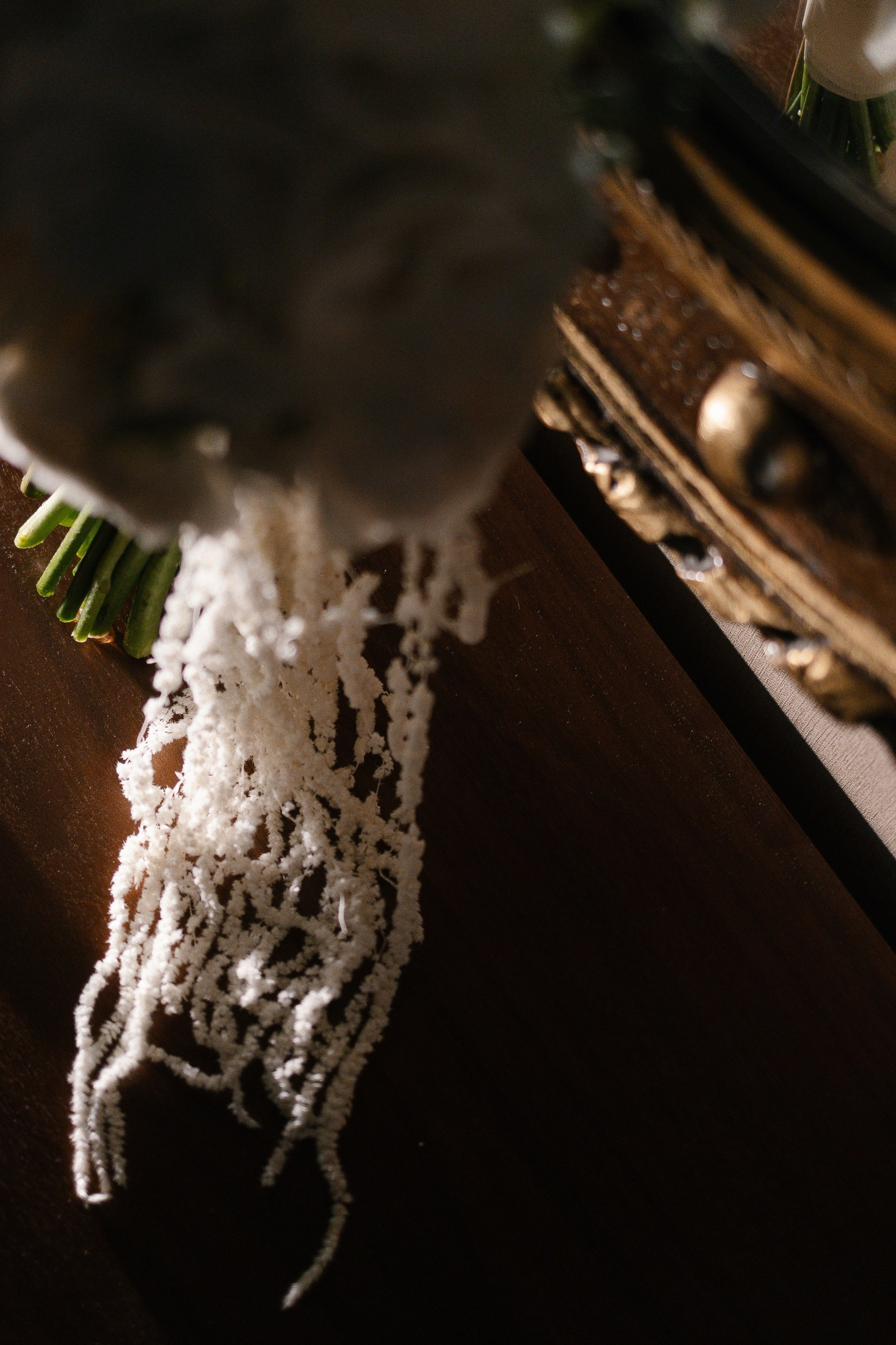 Истории. Свадебный Фотограф Чебоксары|Йошкар-Ола|Москва|Краснодар