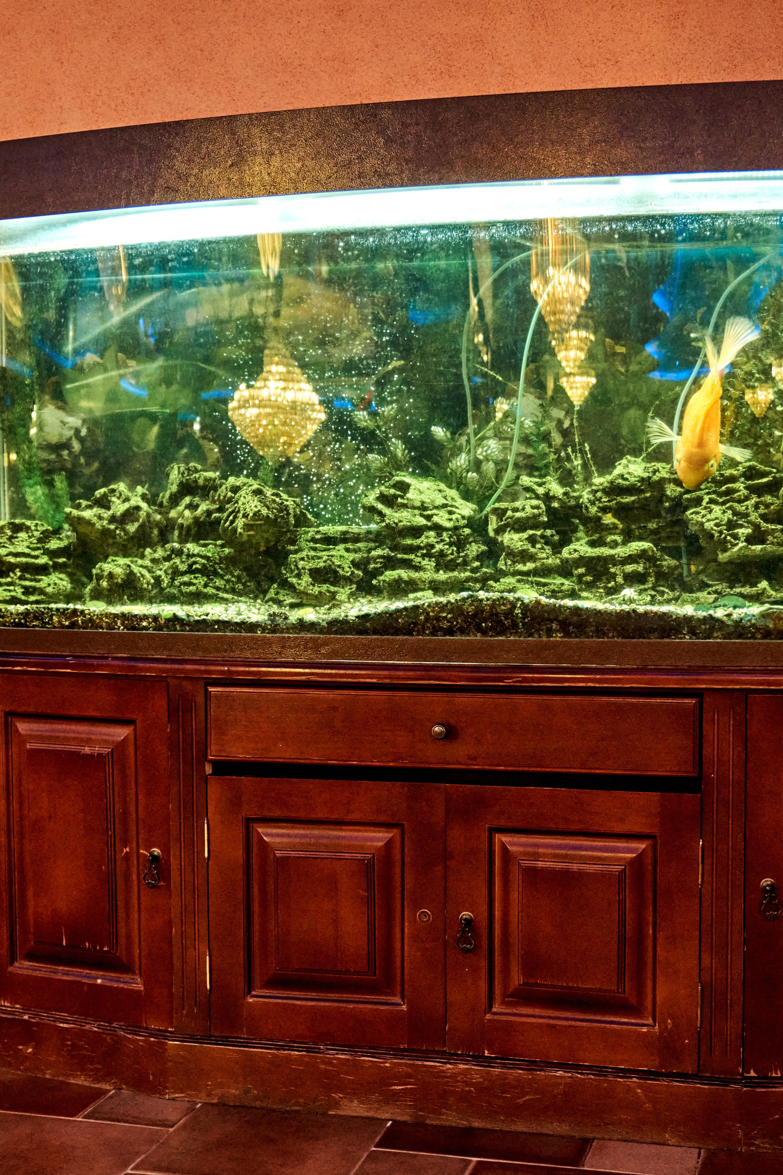 Интерьерная съемка предметы сервировка столов. VISUAL ARTIST/ современное искусство/ фотокартины