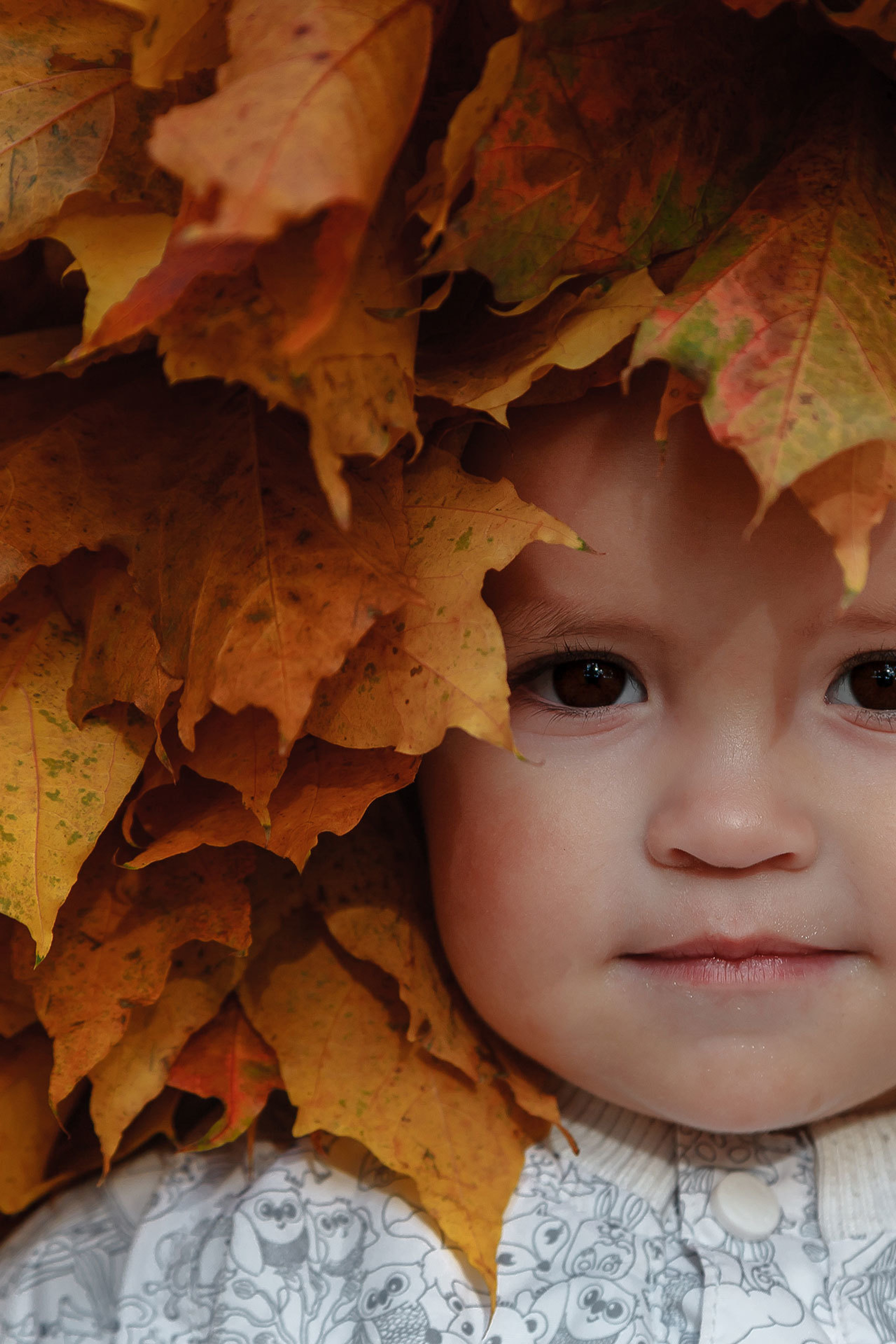Осенний фотодень