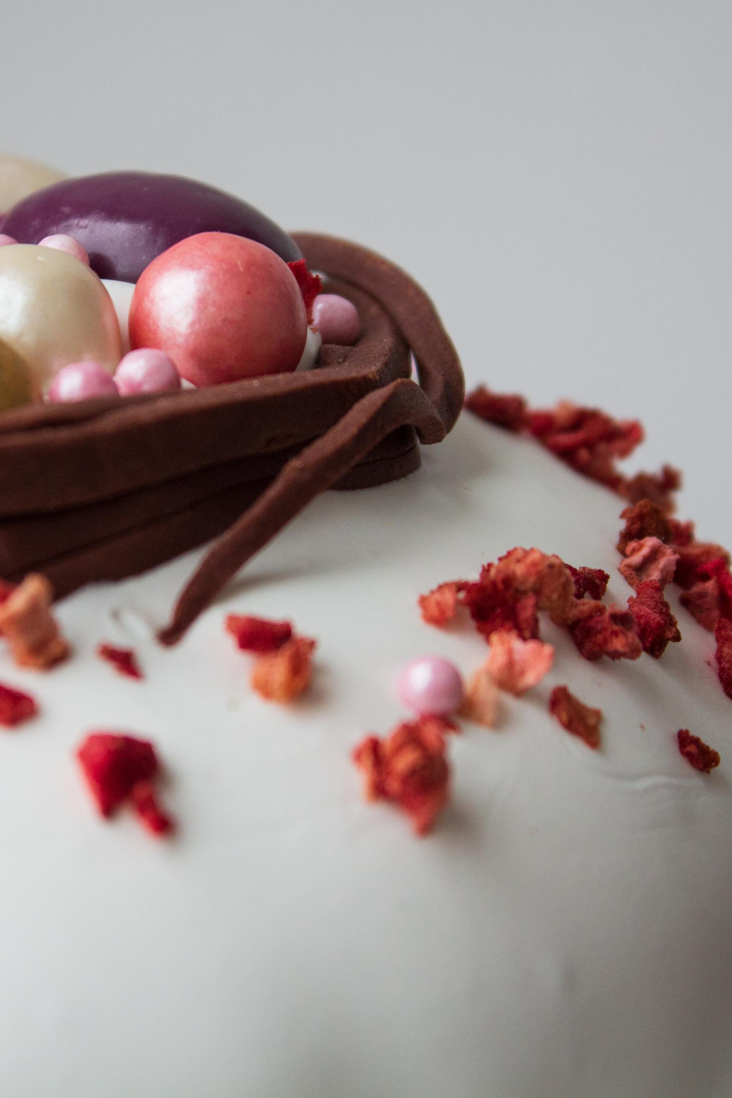 Семейная фотосессия в парке. Фотограф для вас и вашего бизнеса в Москве Альбина Никифоров