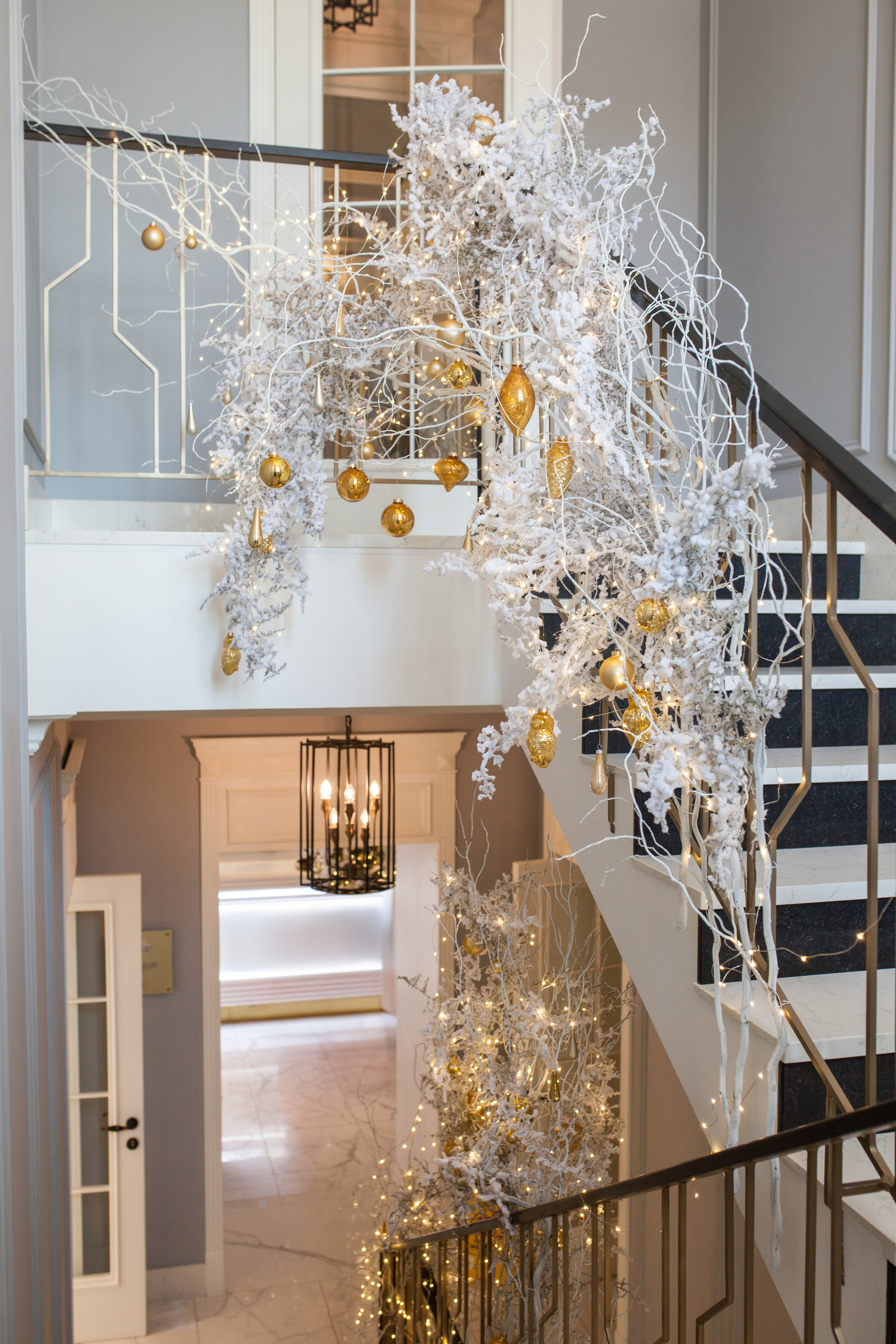 Посольство красоты 2023