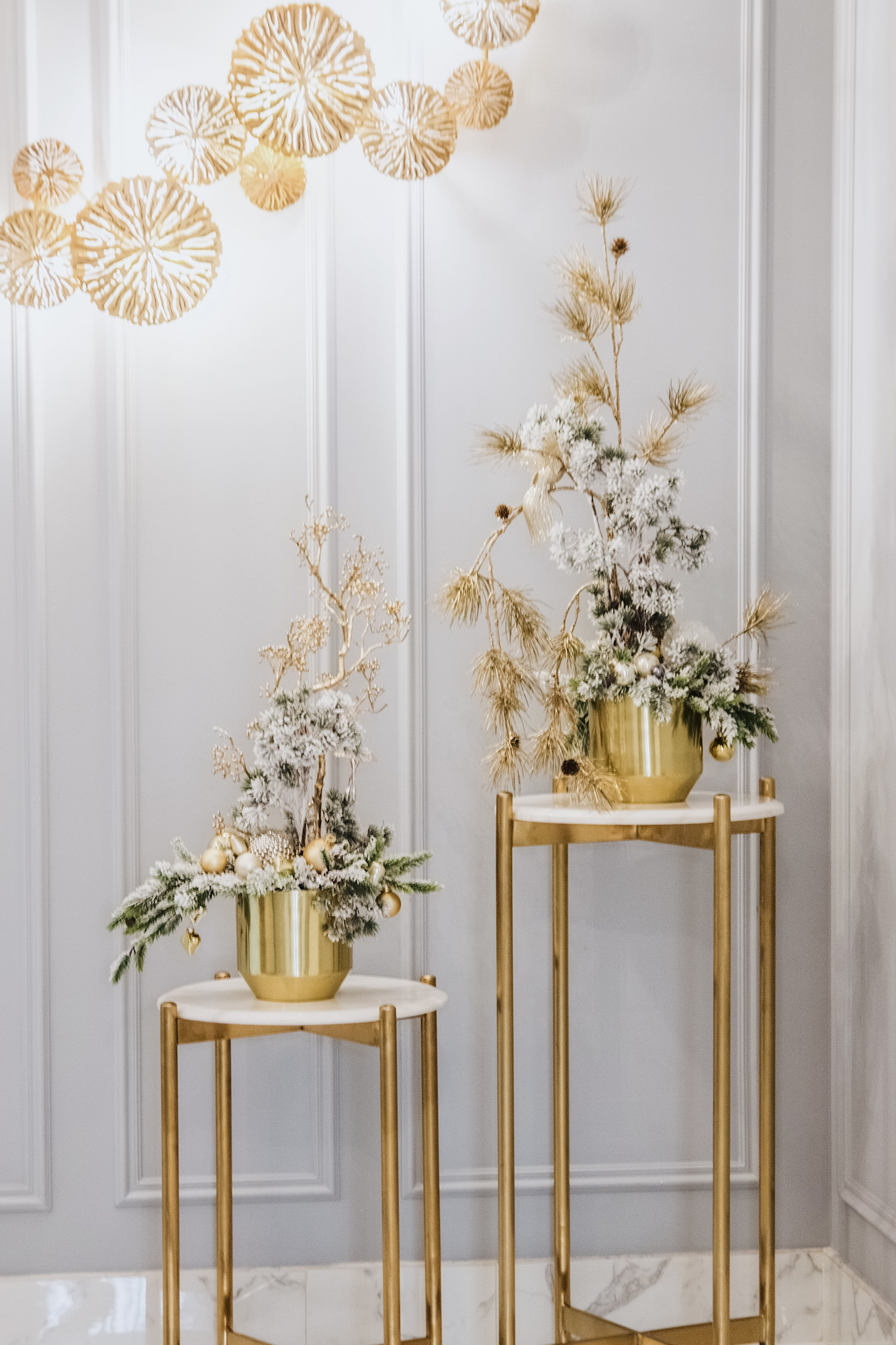 Посольство красоты 2020