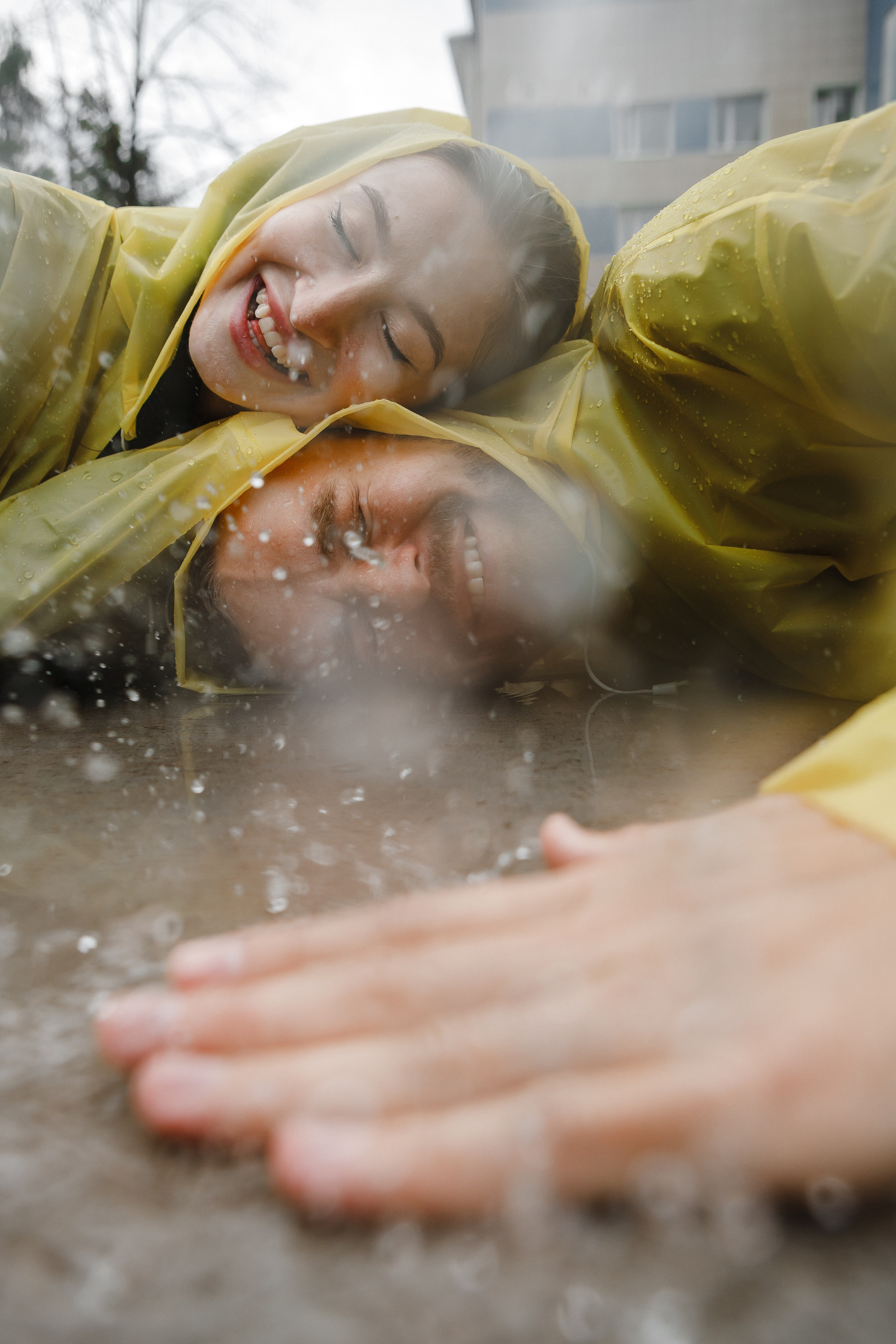 Богдан и Лиза