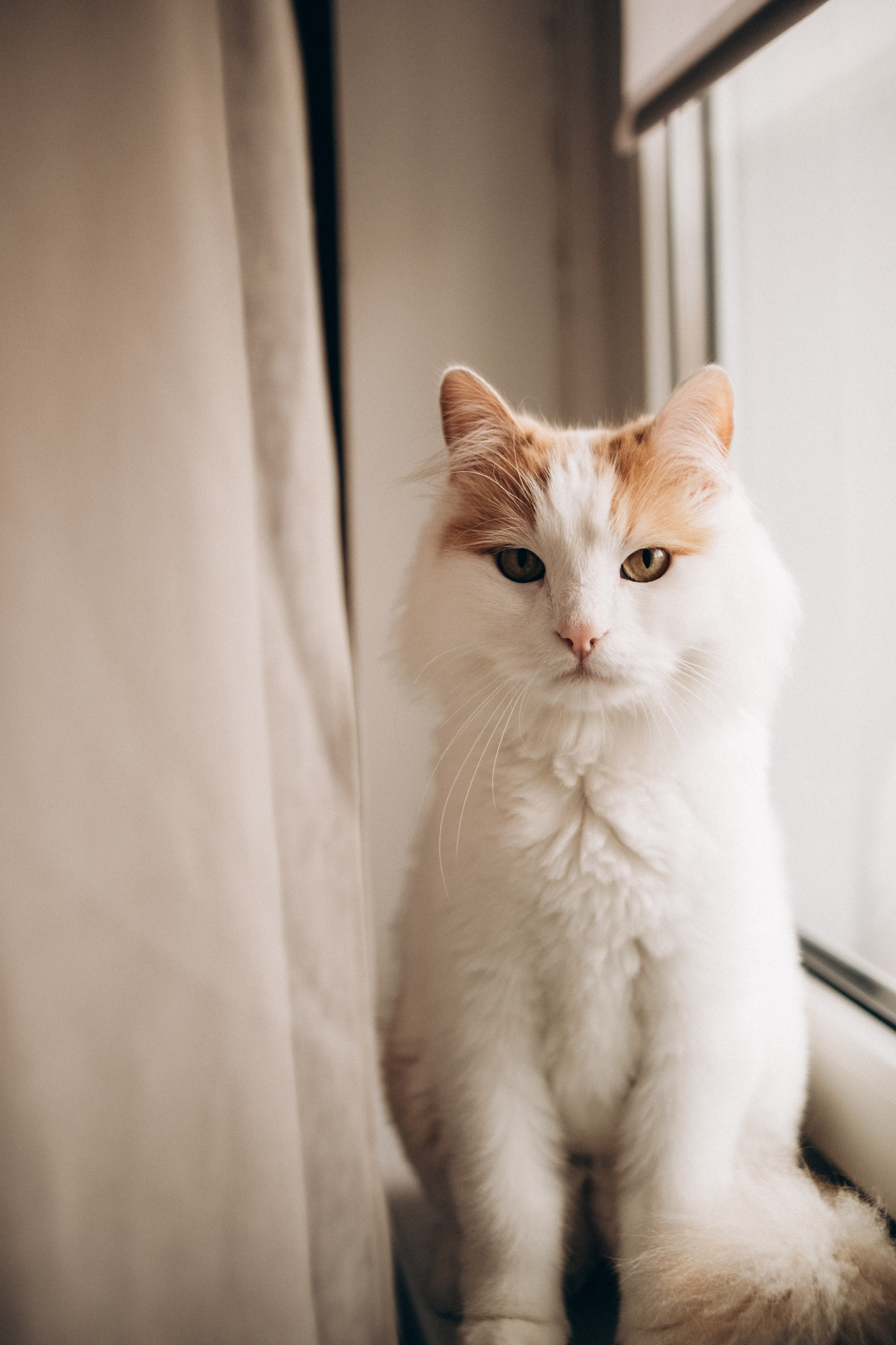 Лера, Лиза и Рома. Семейный фотограф в Курске Мария Бабасева