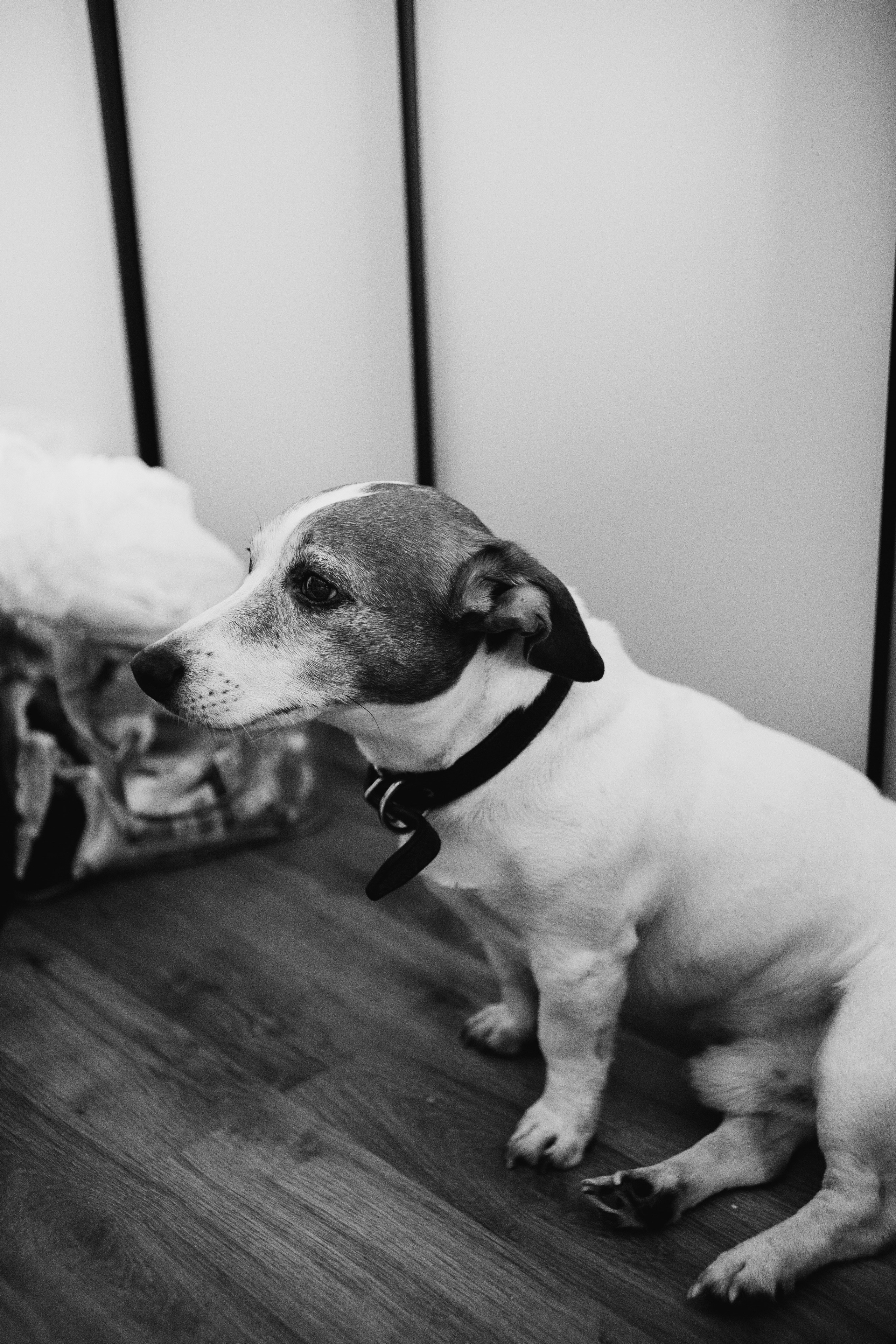 Анастасия, Иван, Егор и Мария. Семейный фотограф в Курске Мария Бабасева