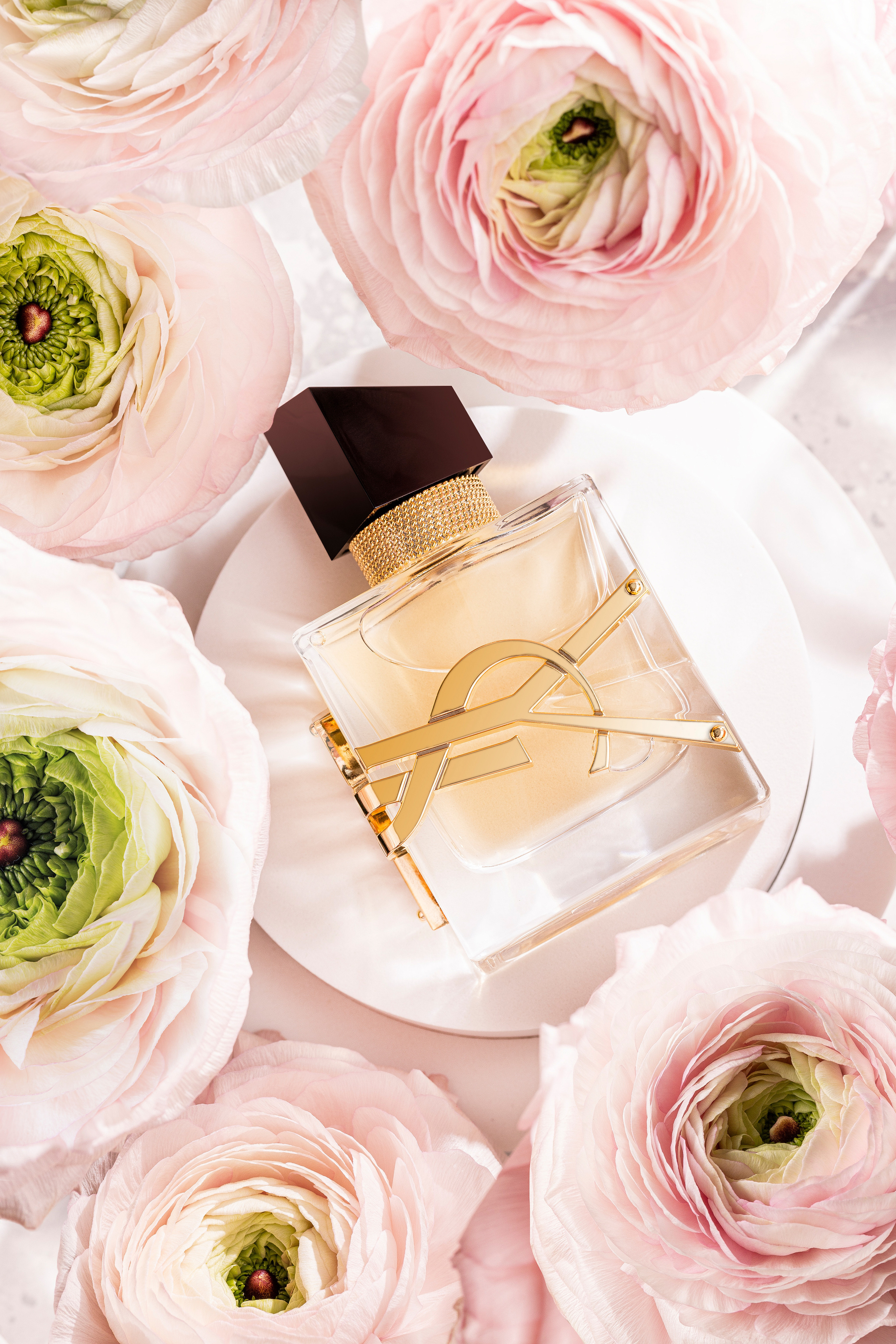 YSL Libre