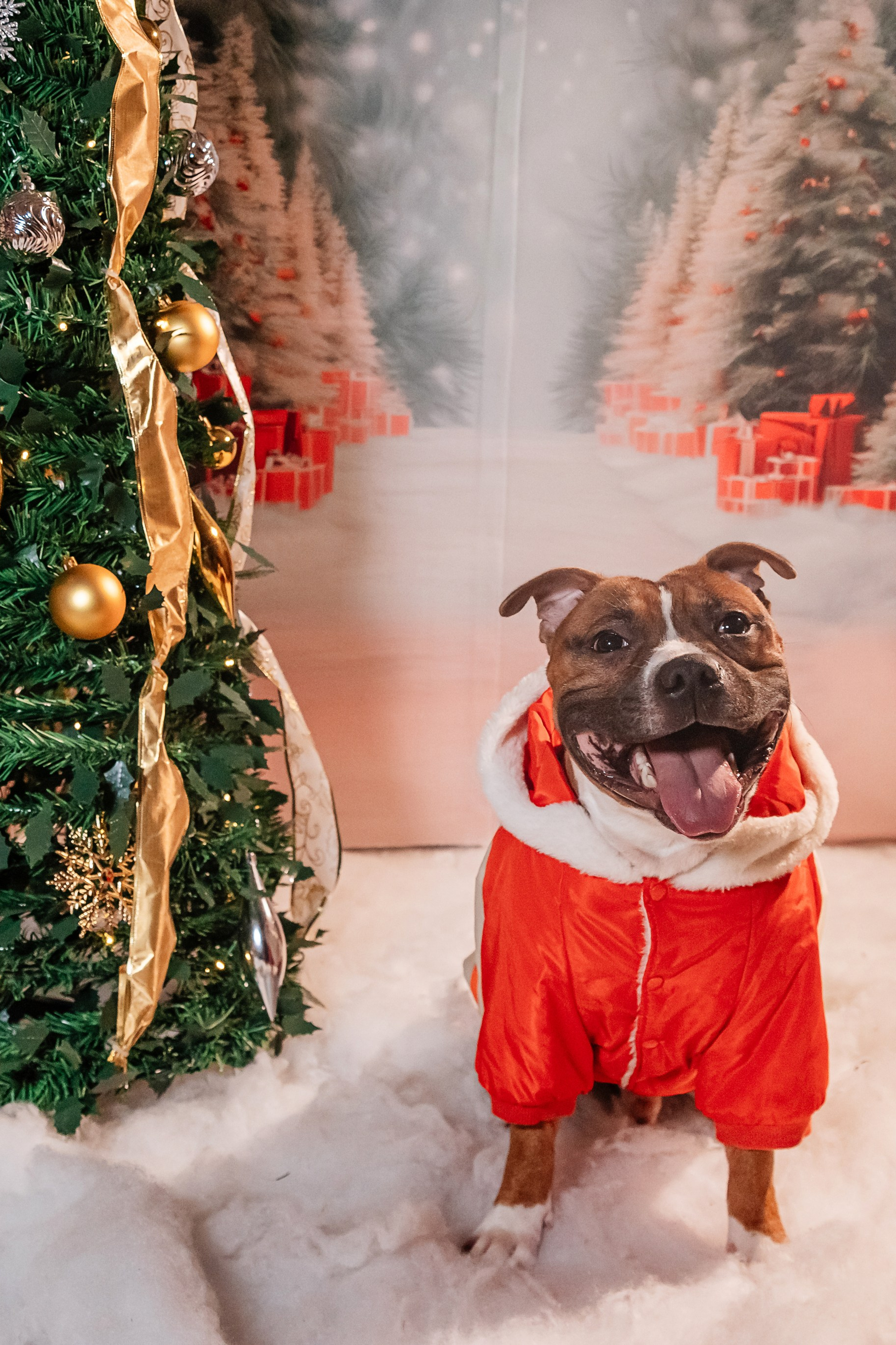 Елена и Ричи