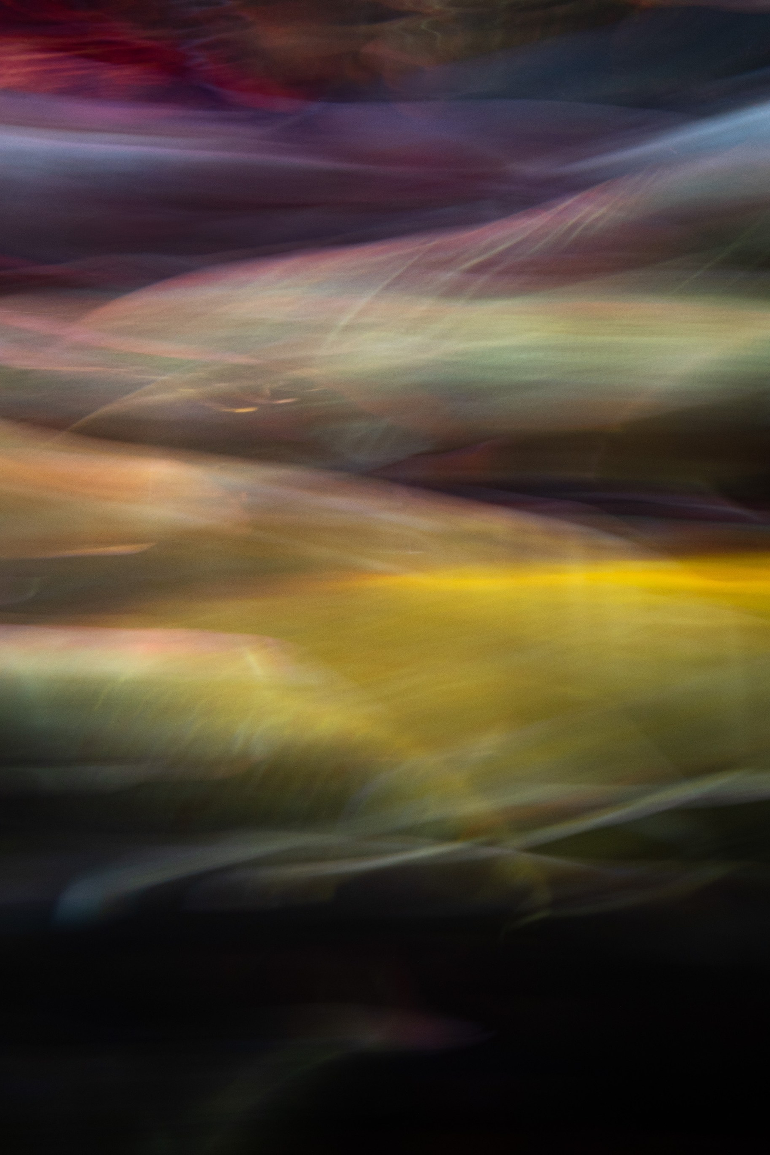 Рыбопись 2024