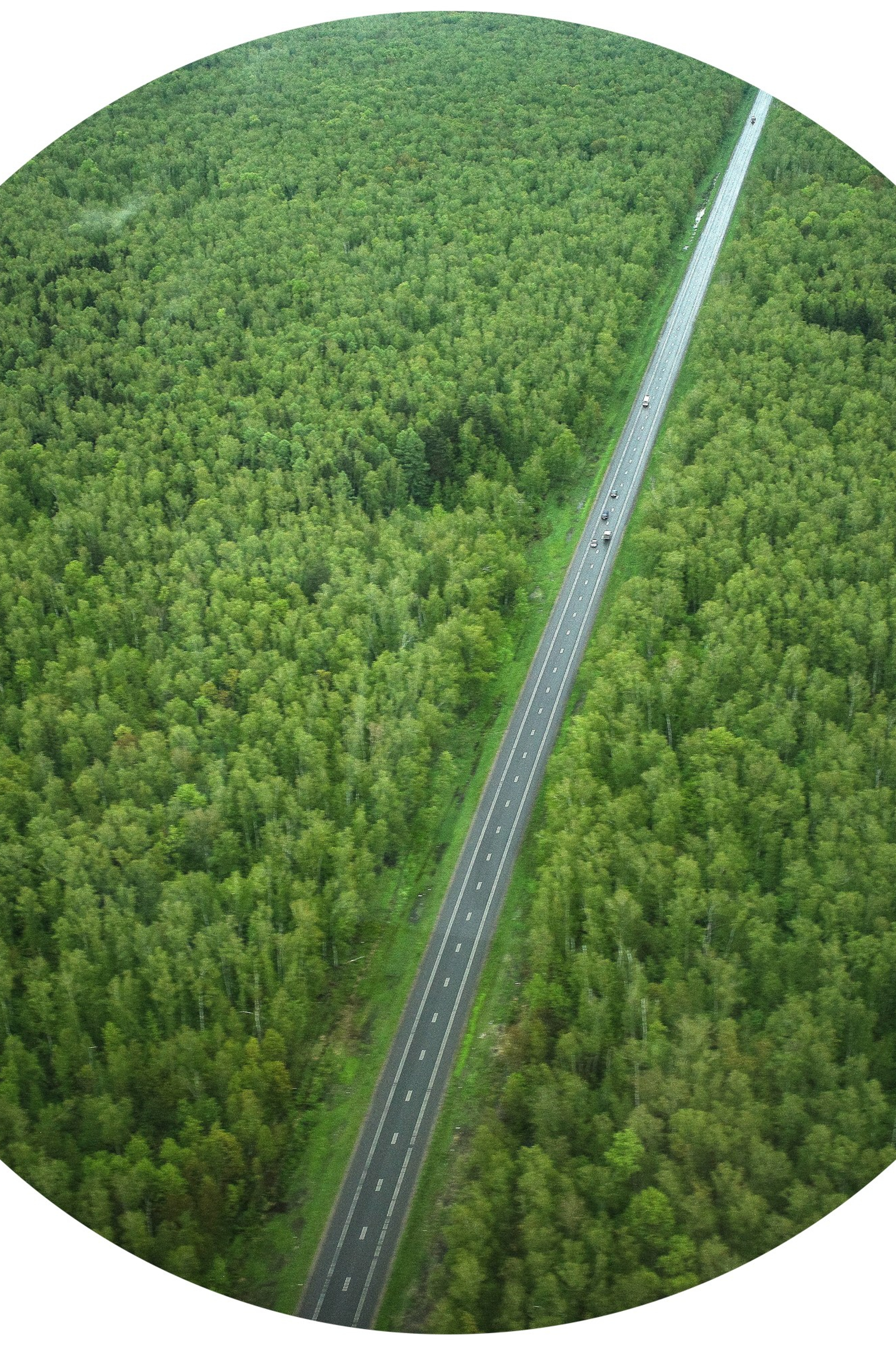 Ситец небес 2024