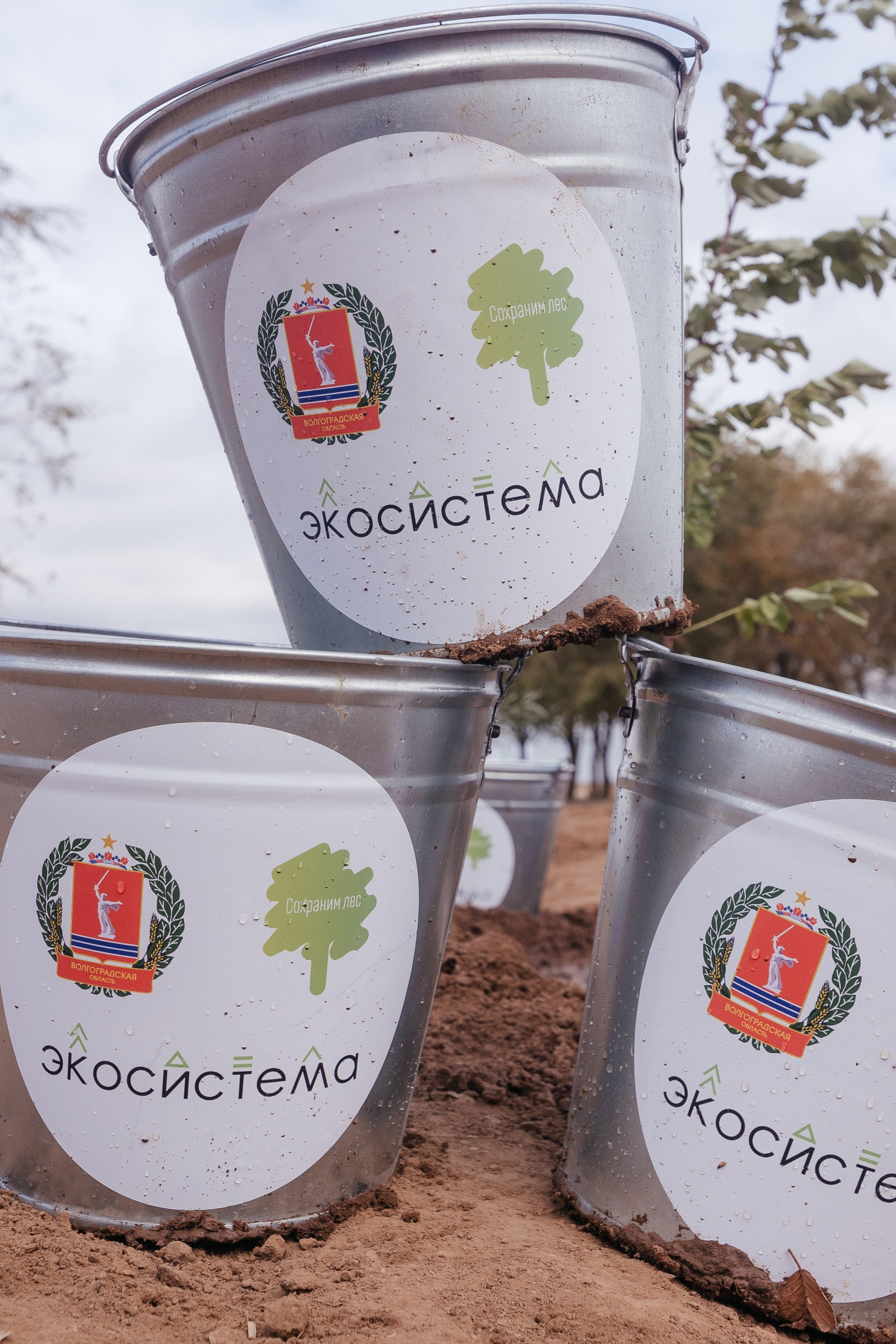 Сохраним лес