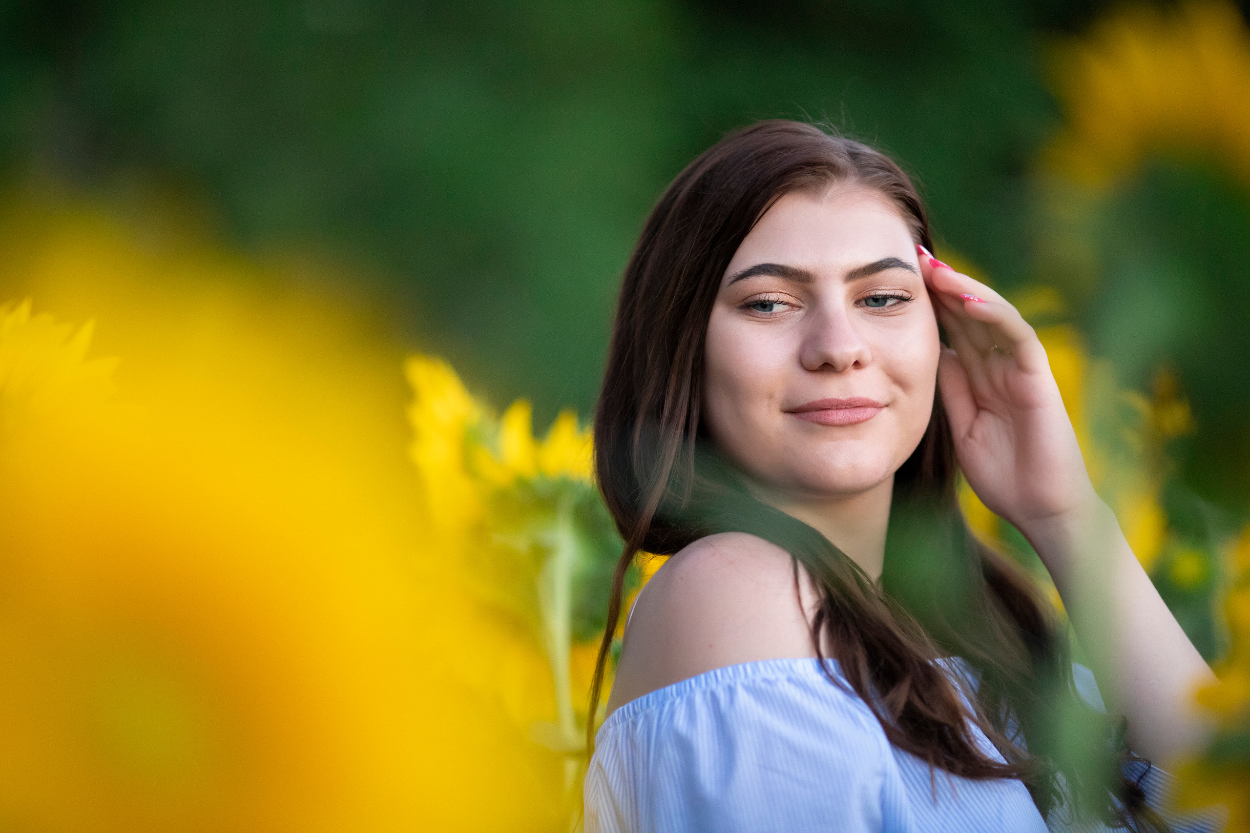 Подсолнухи