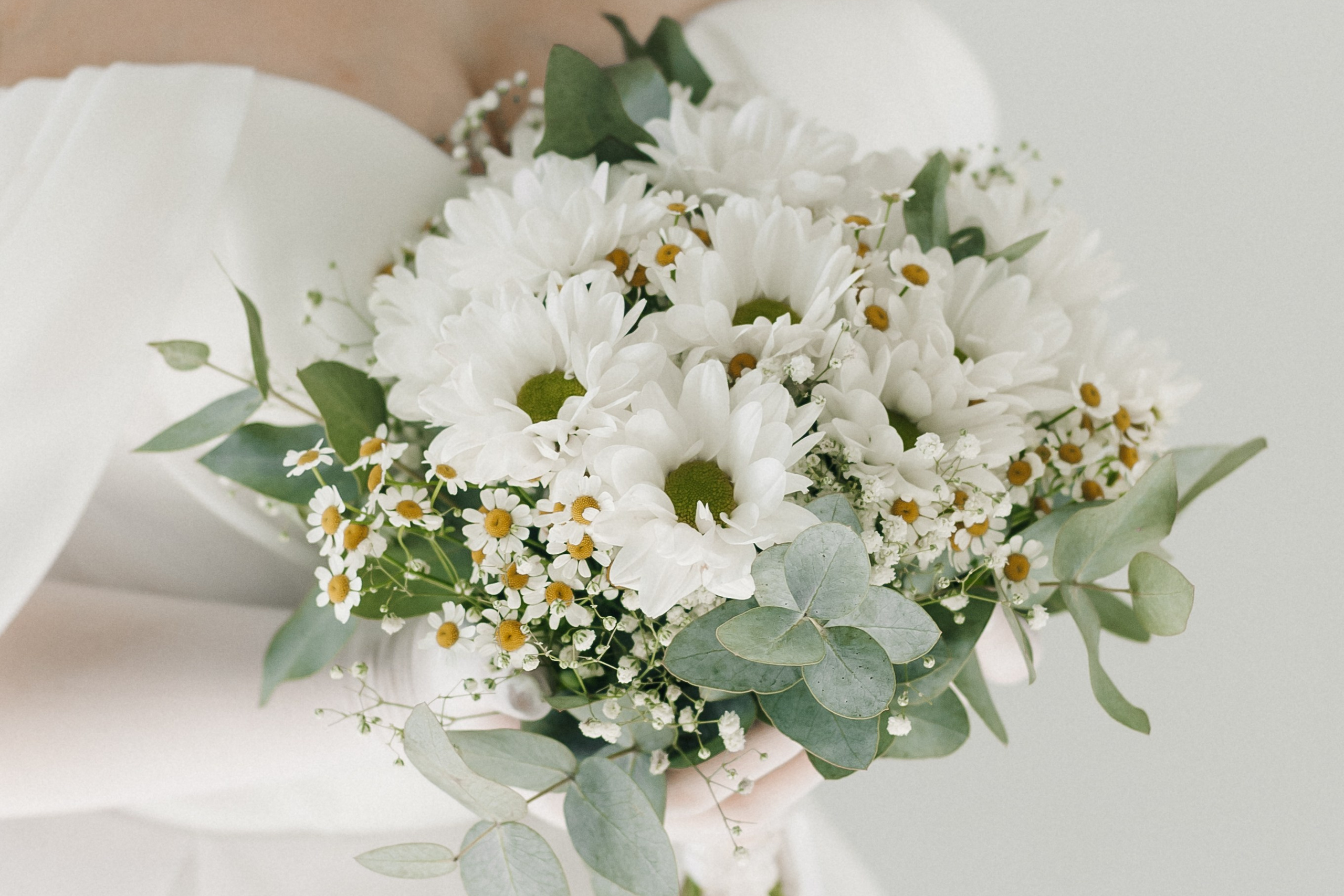 Свадьба для Екатерины и Никиты