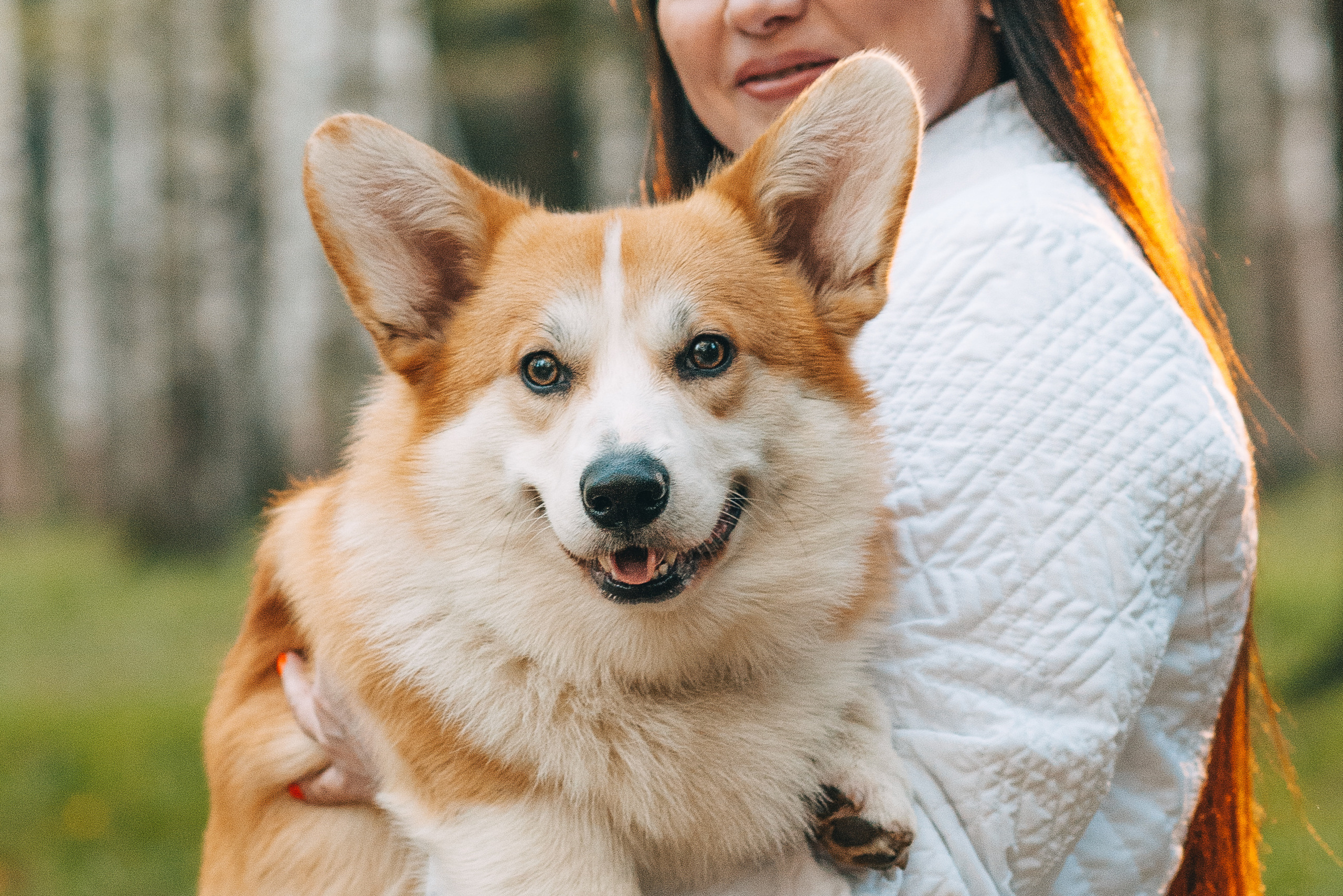 Прогулочная съёмка для Елены и Барни