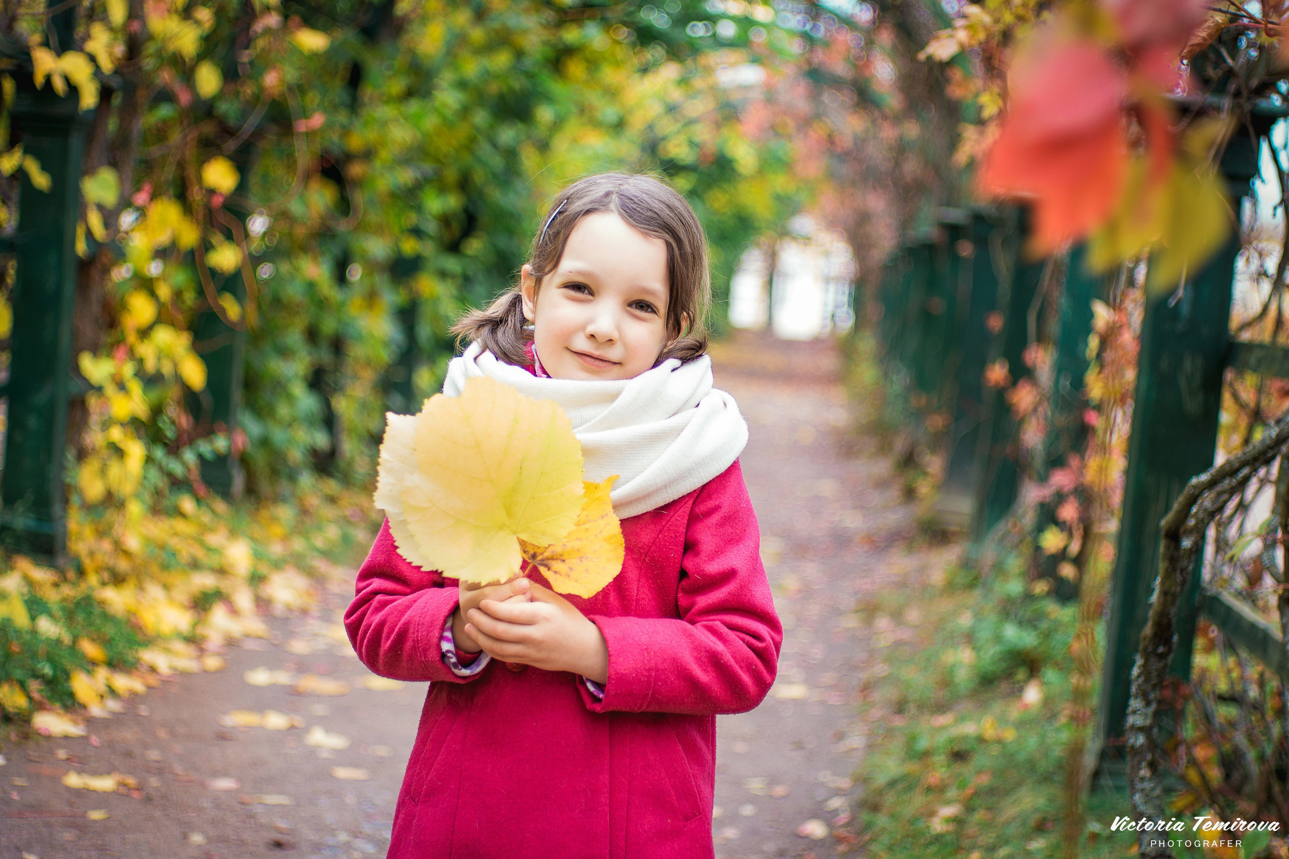 Про Алису и осень