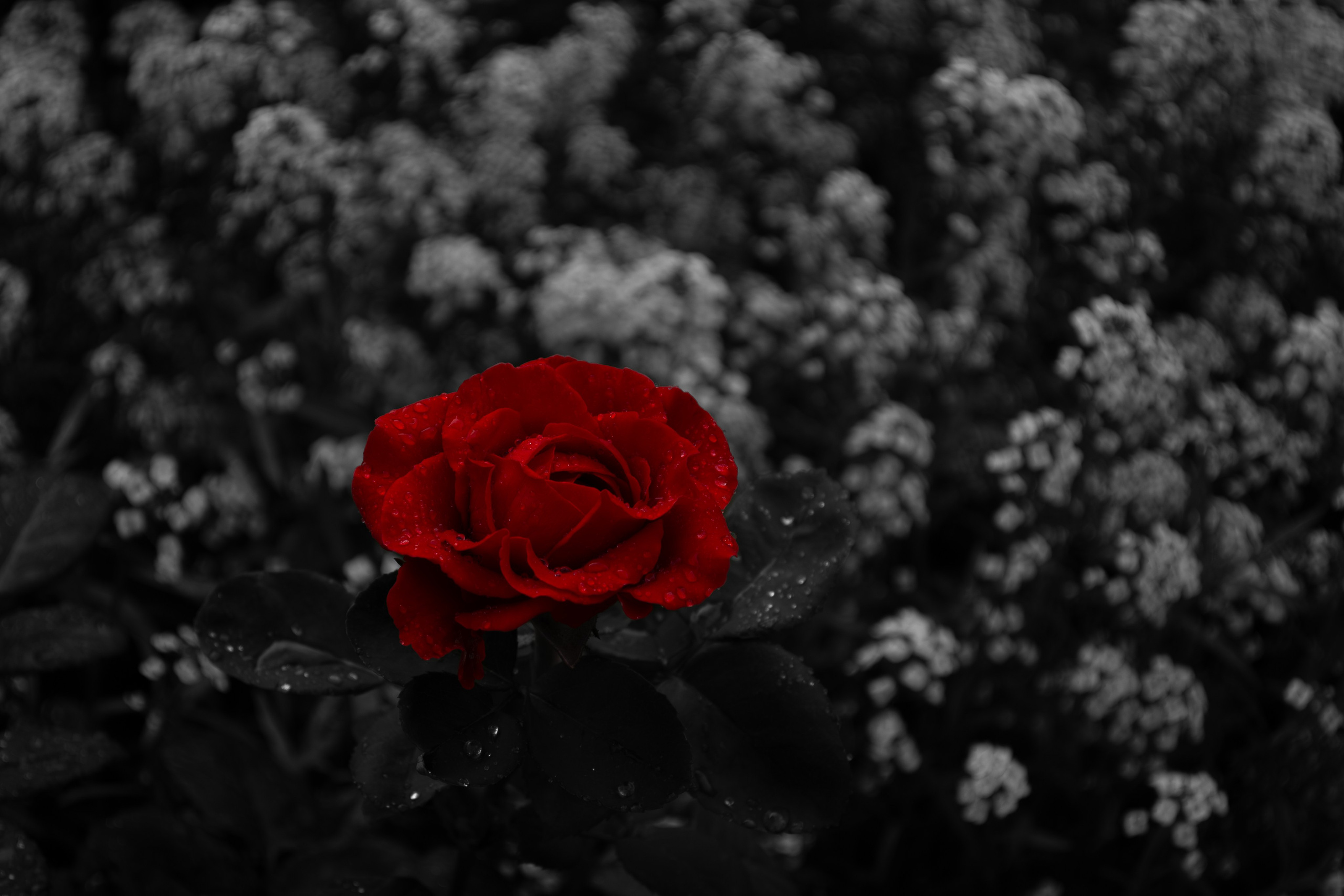 red.