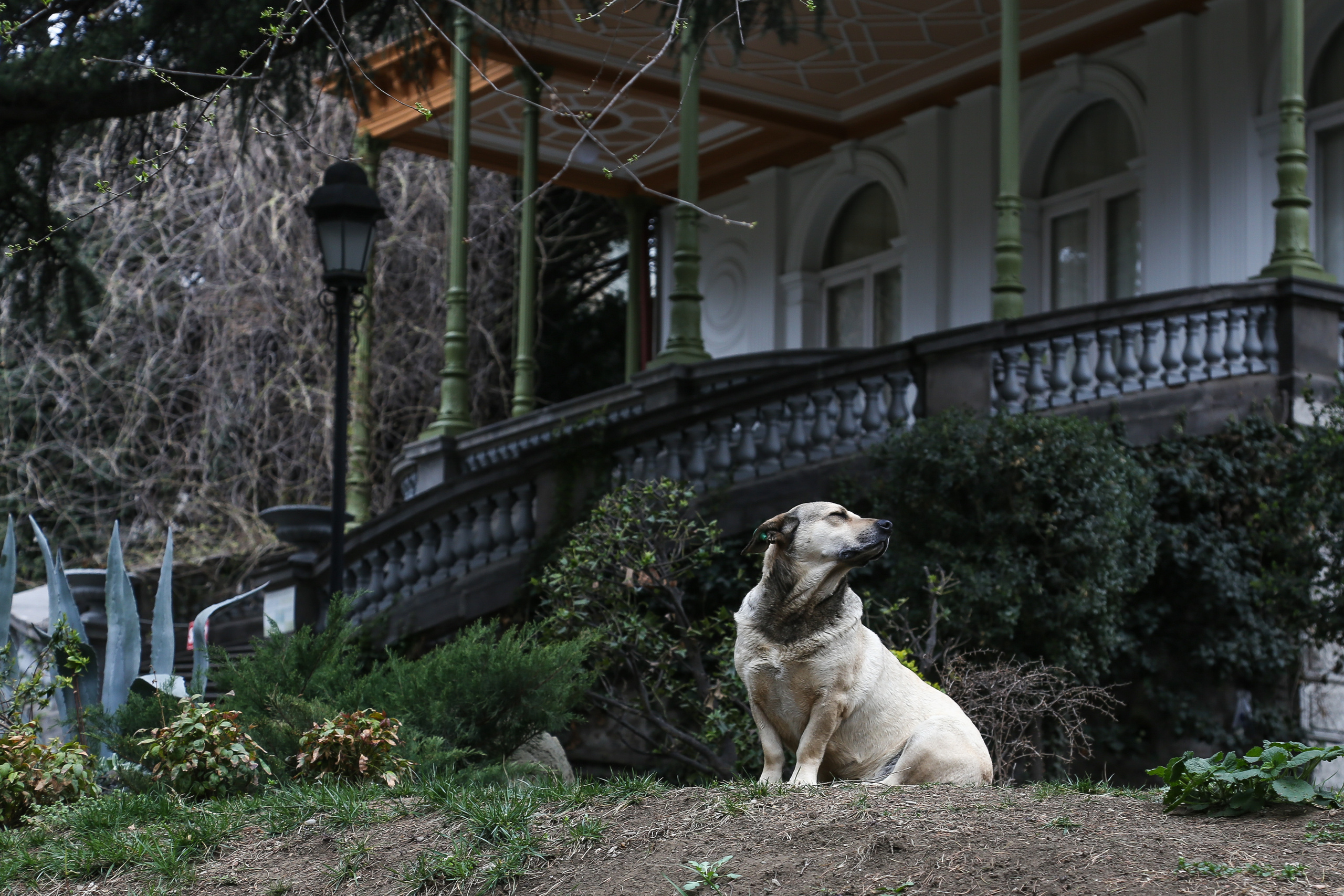 Грузия, Тбилиси