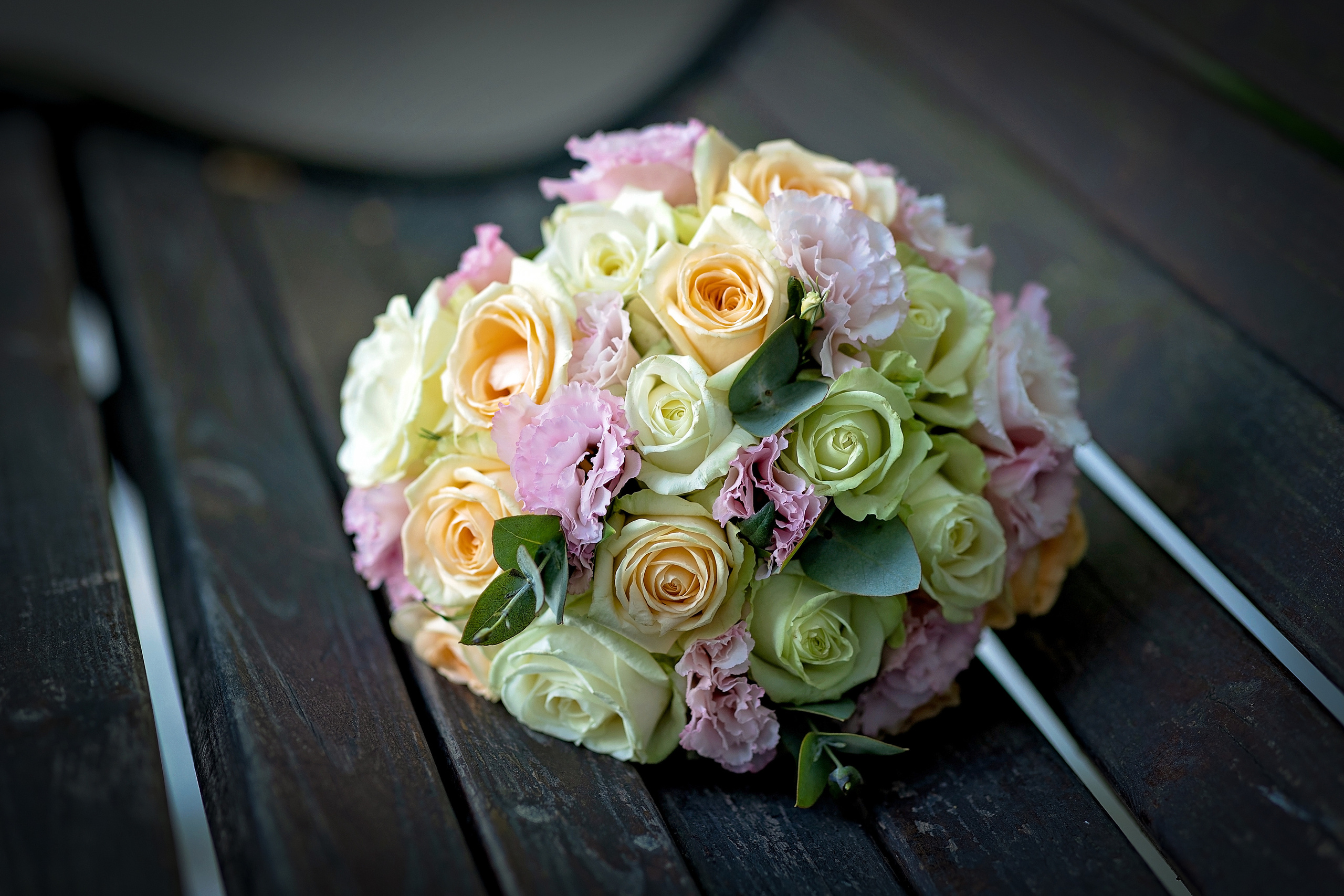 Даша и Дима