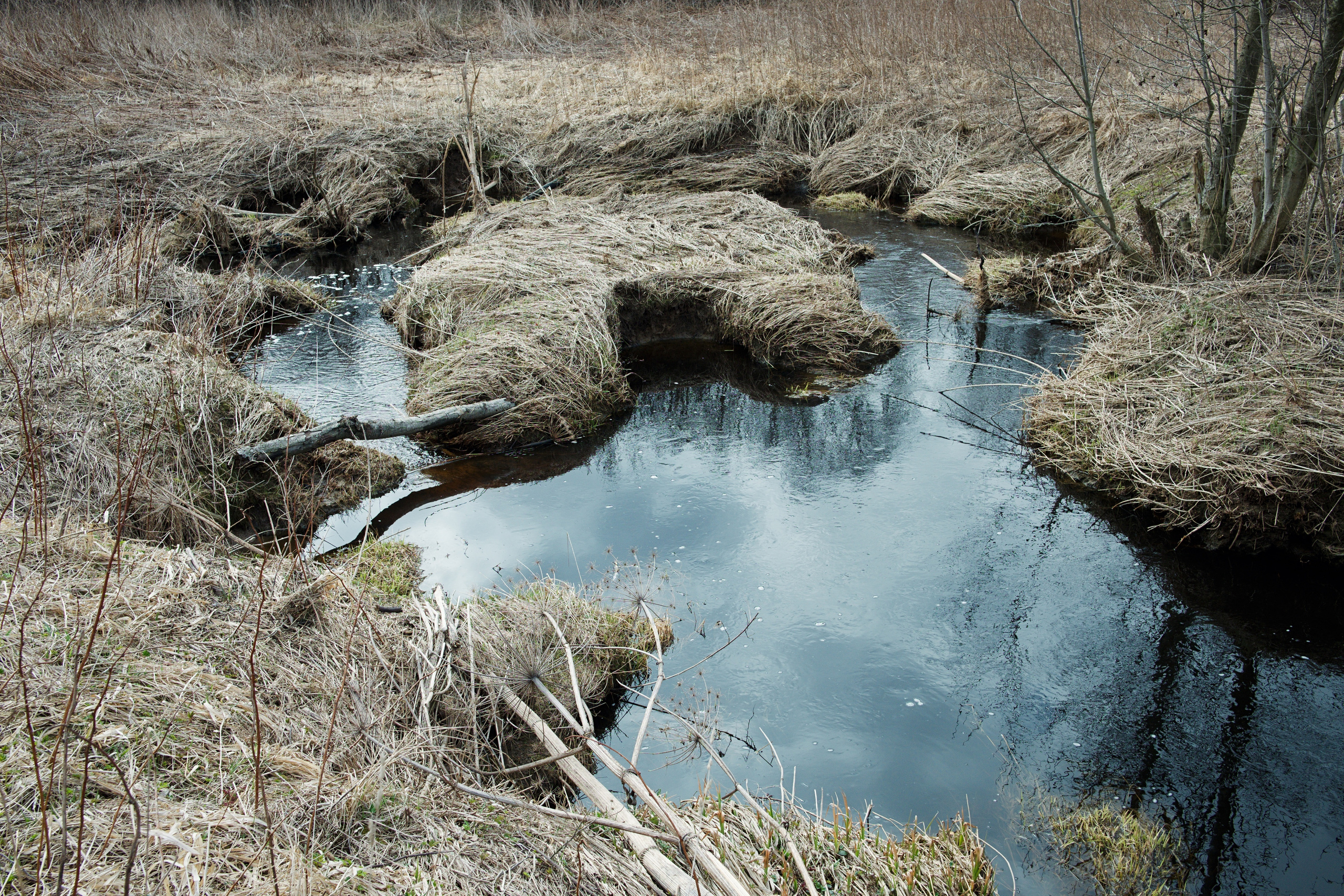 The pocket river