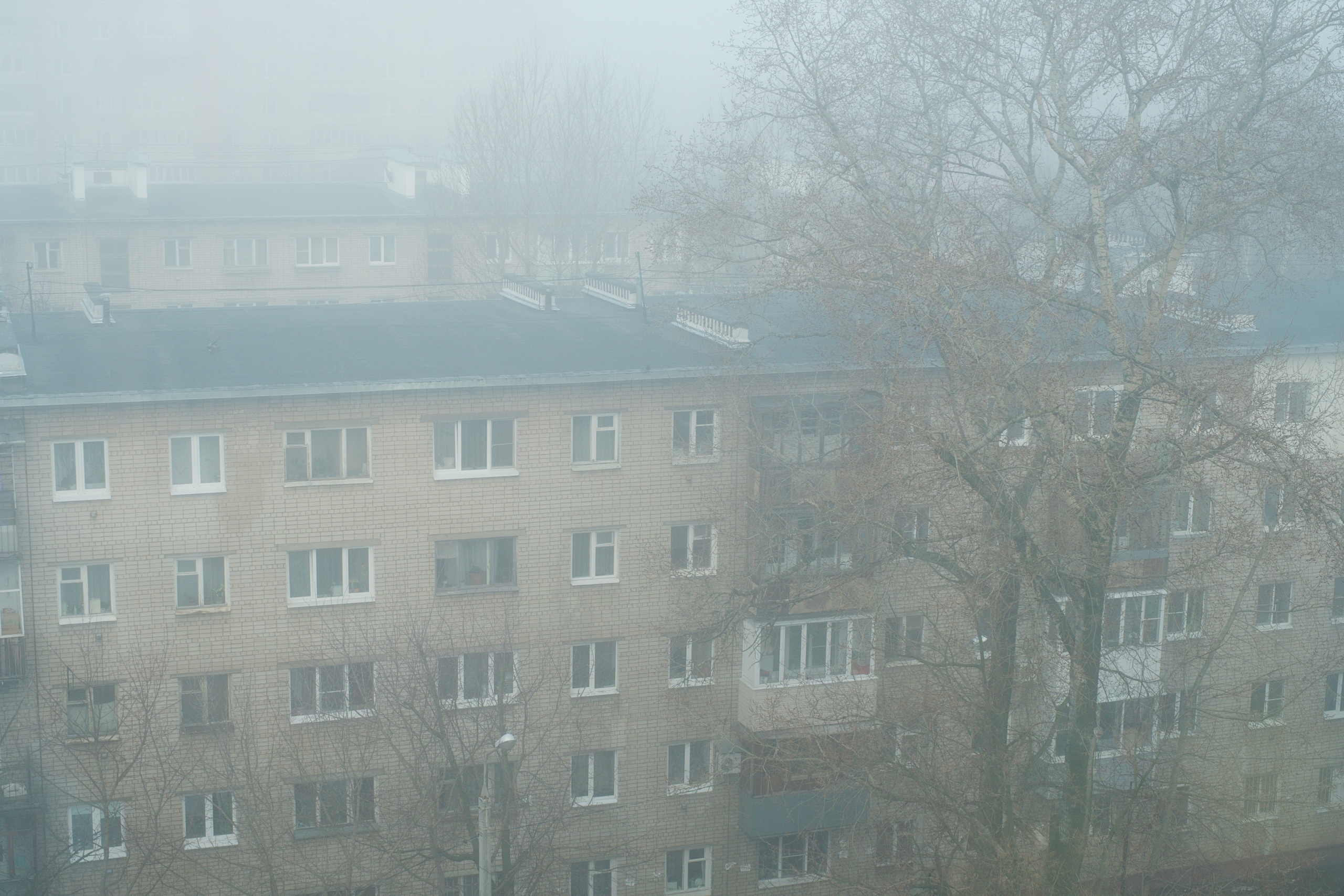 730 days. 46 m²