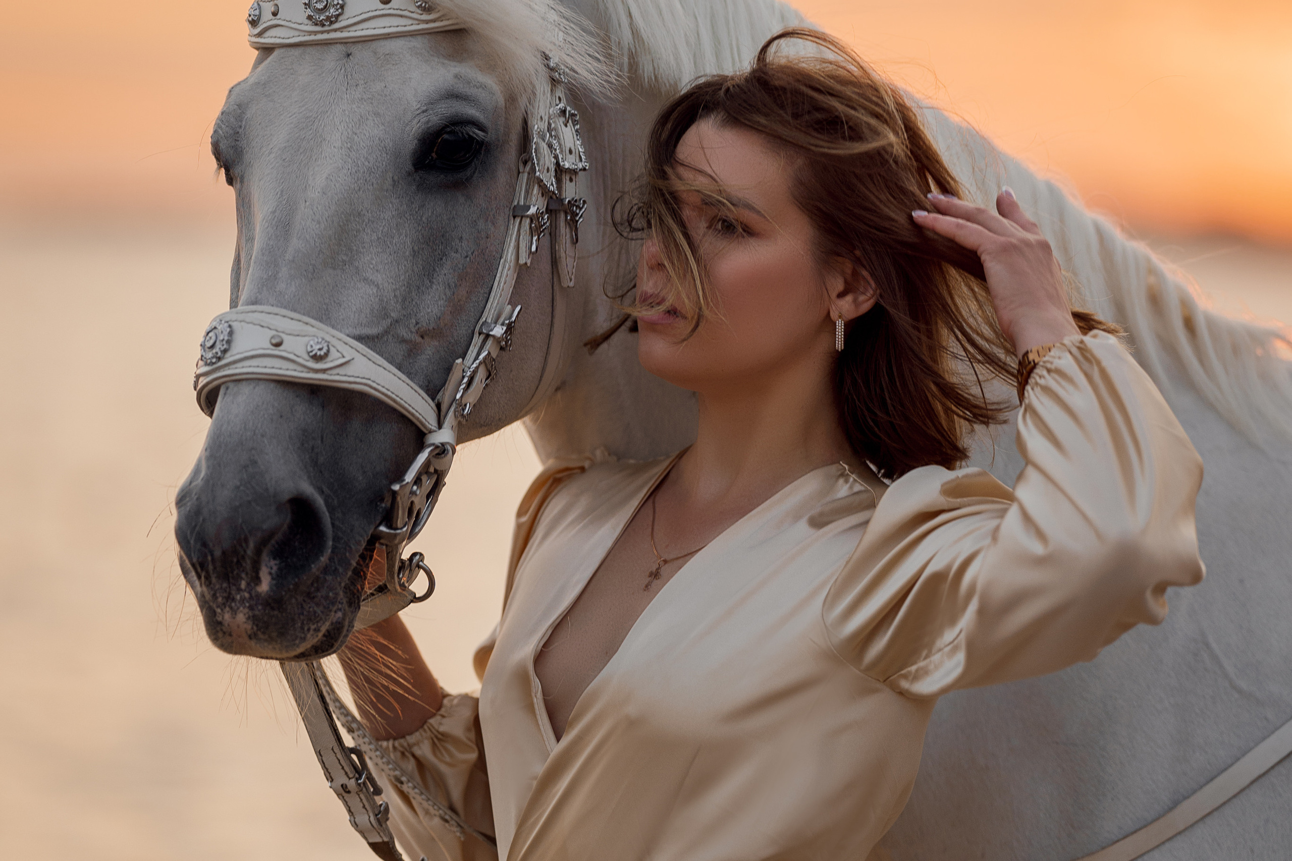 Анна и Илион