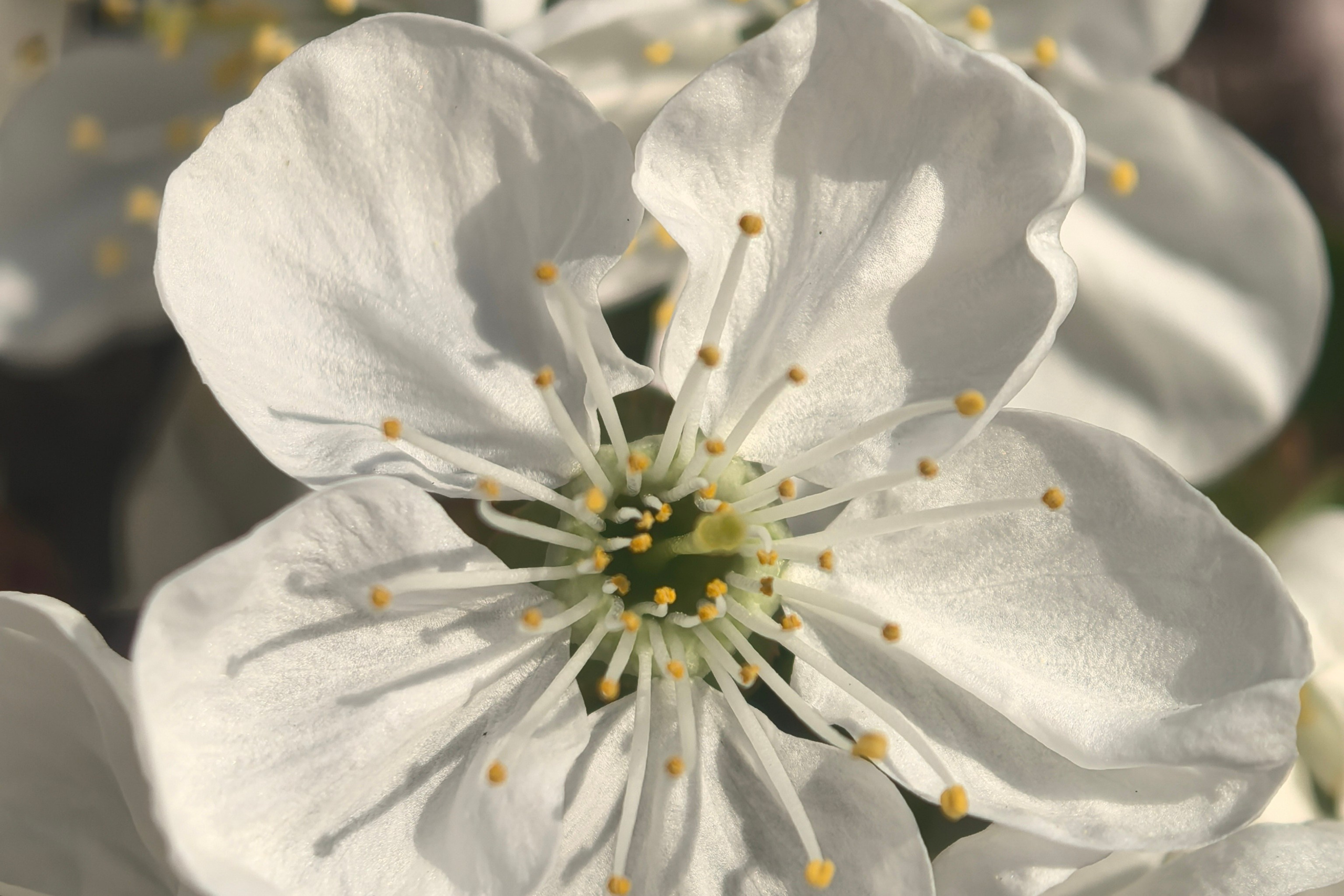 почтиМАКРО