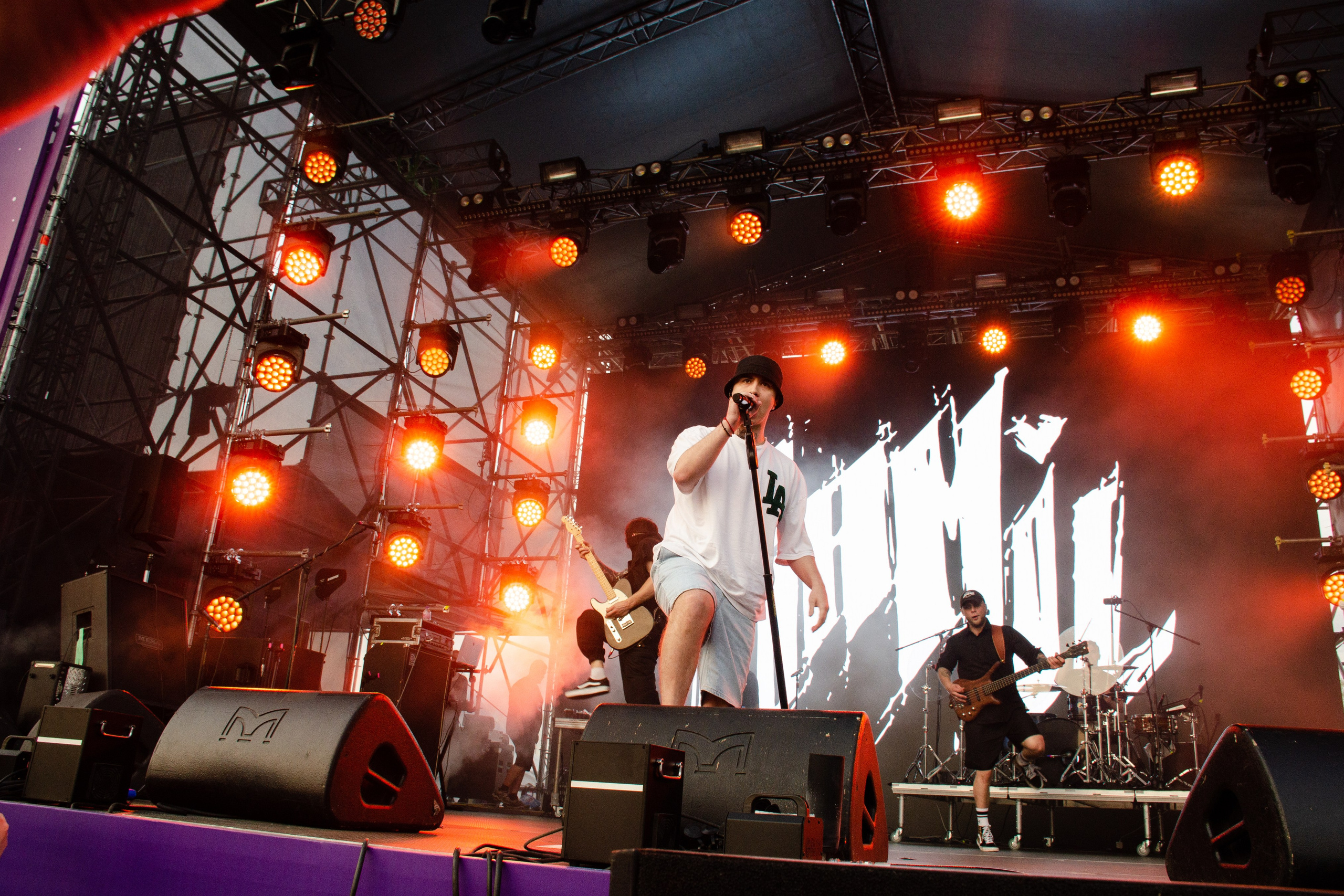 Черника Фест Ramil'