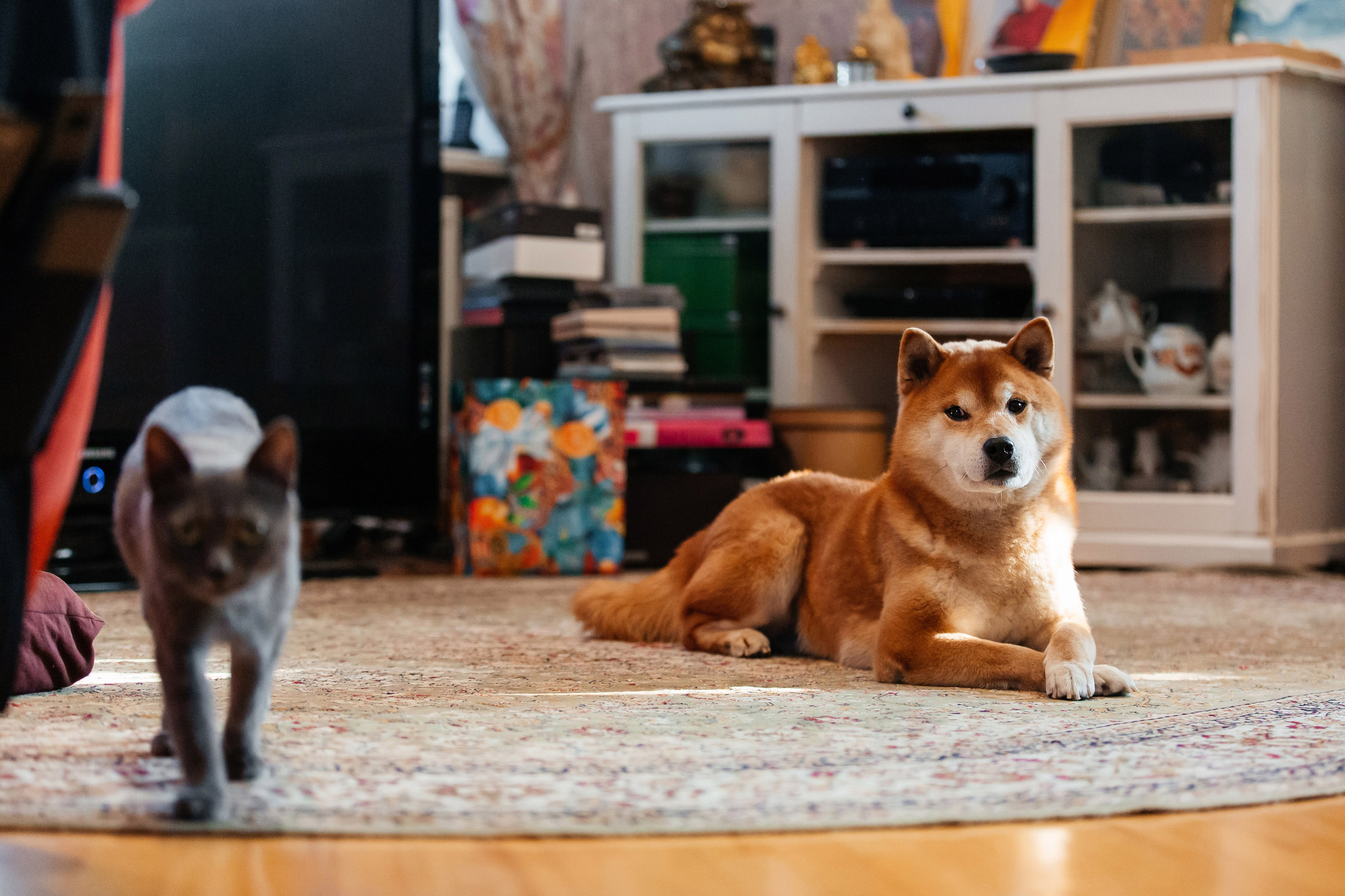 Сверкающий калейдоскоп