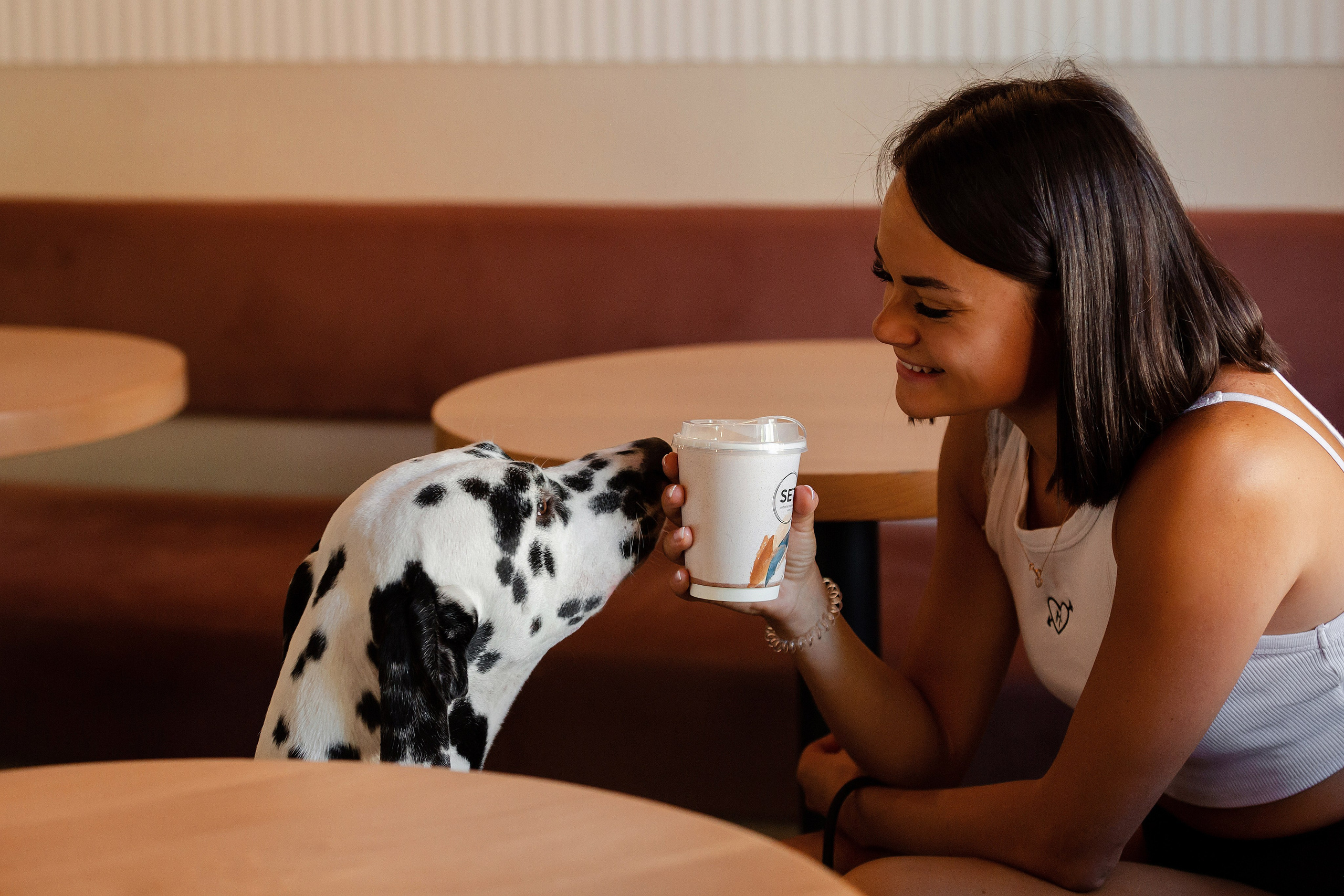 Сбывшаяся мечта