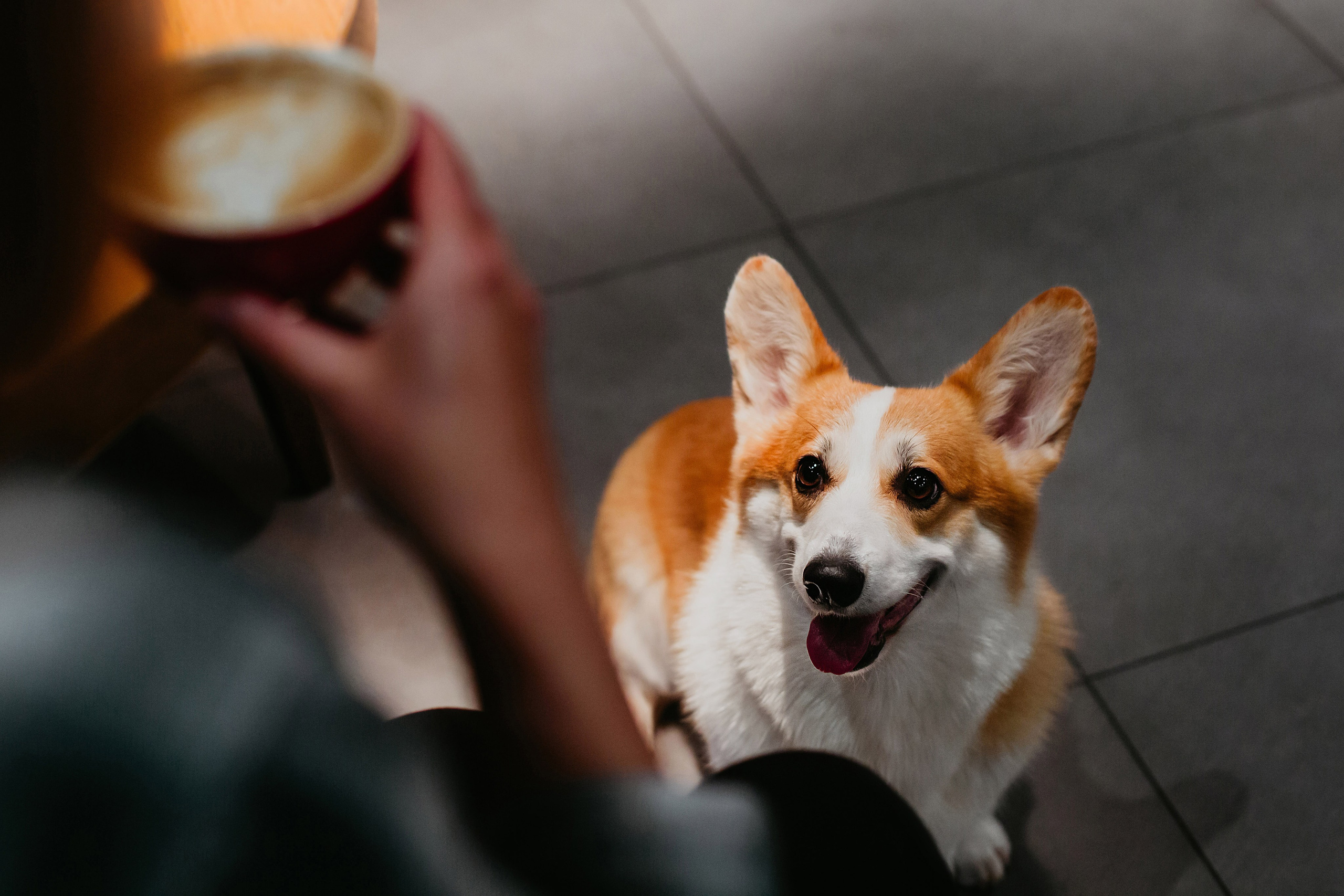 Кофейные посиделки